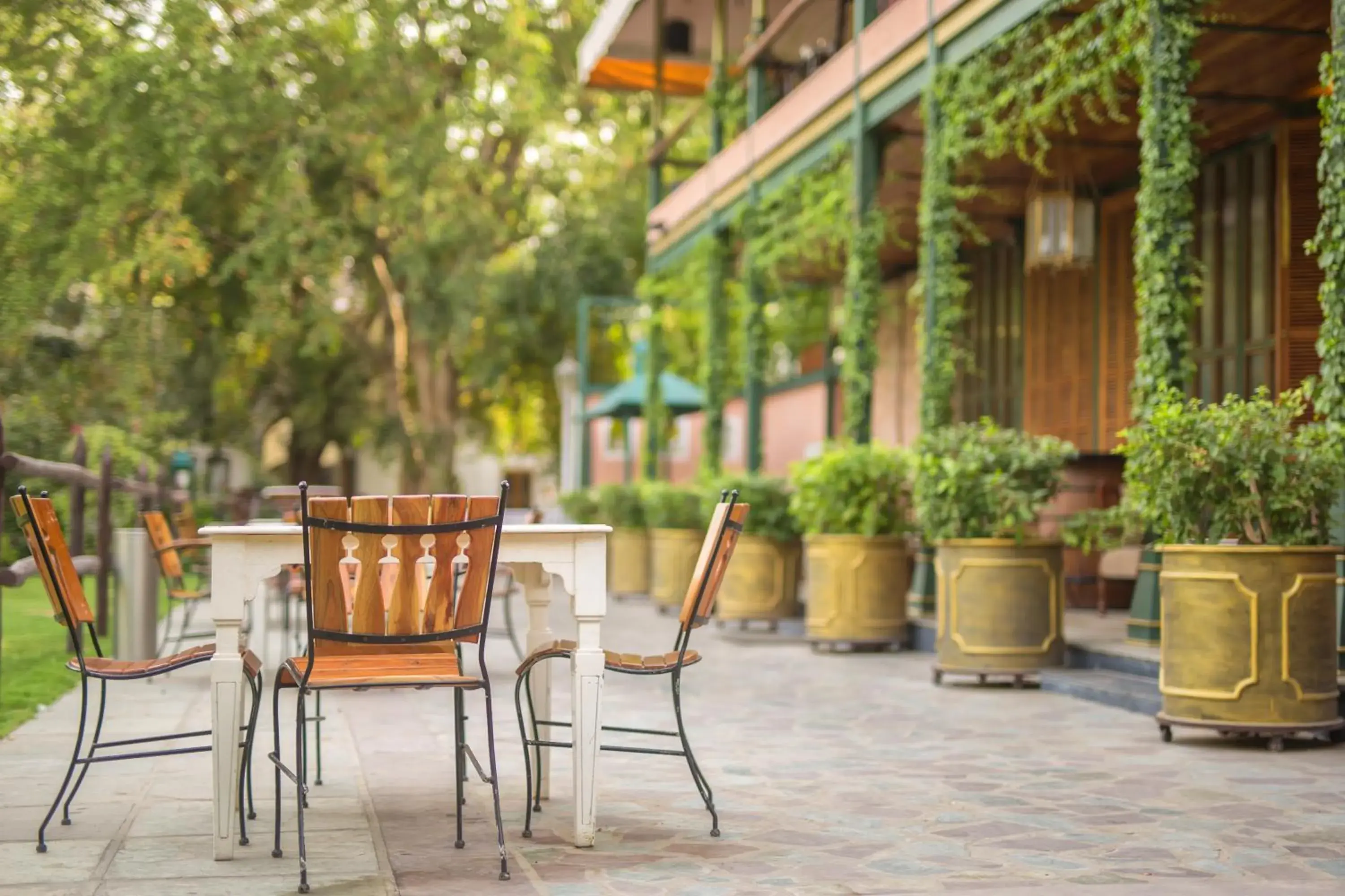 Restaurant/places to eat in Hotel Narain Niwas Palace Restaurant/places to eat in Hotel Narain Niwas Palace