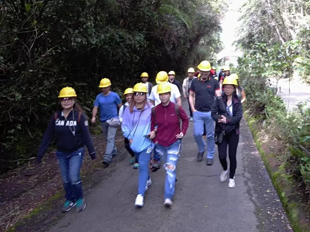 Activities, Other Activities in Pura Vida Hotel