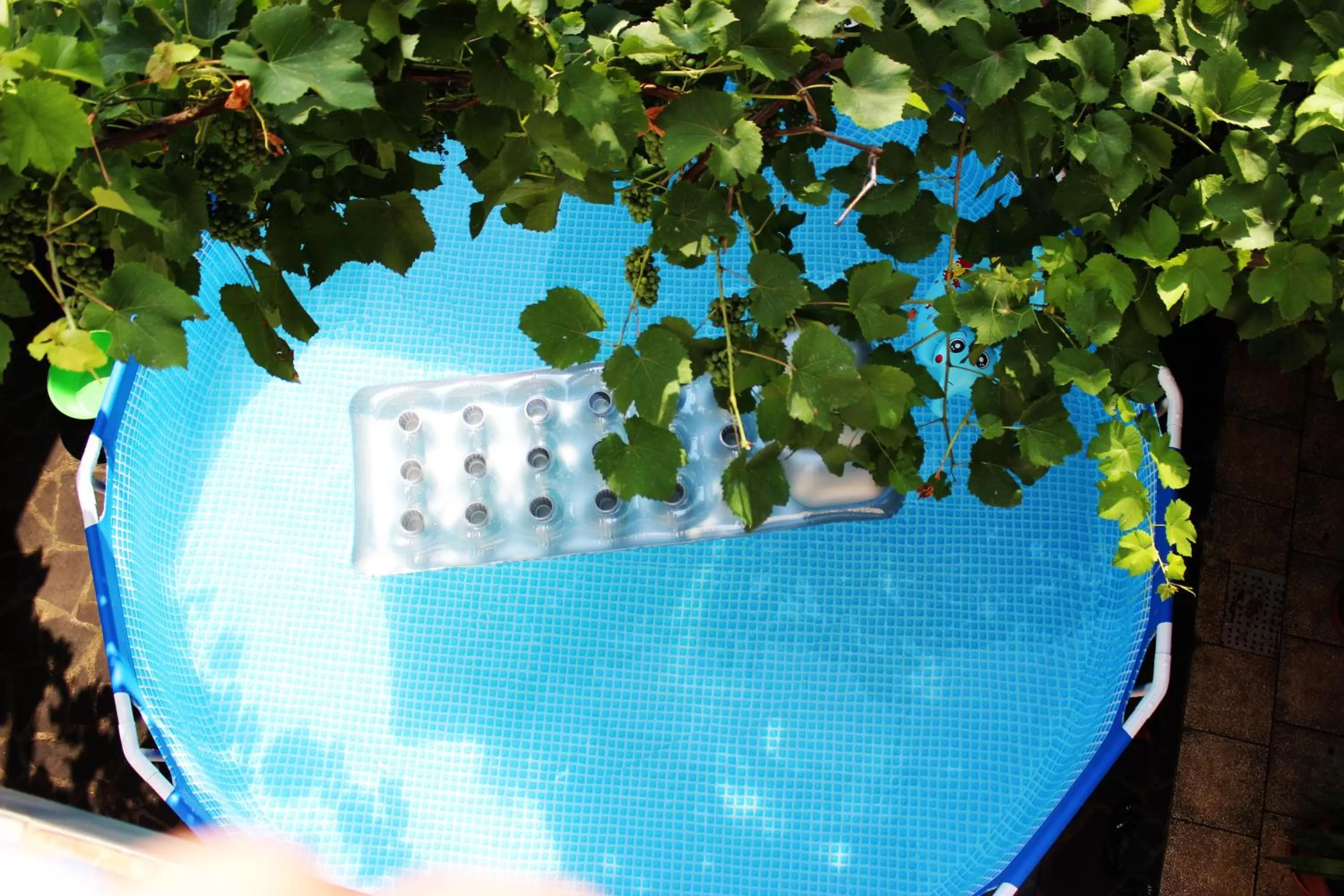 Pool view in Golden Way