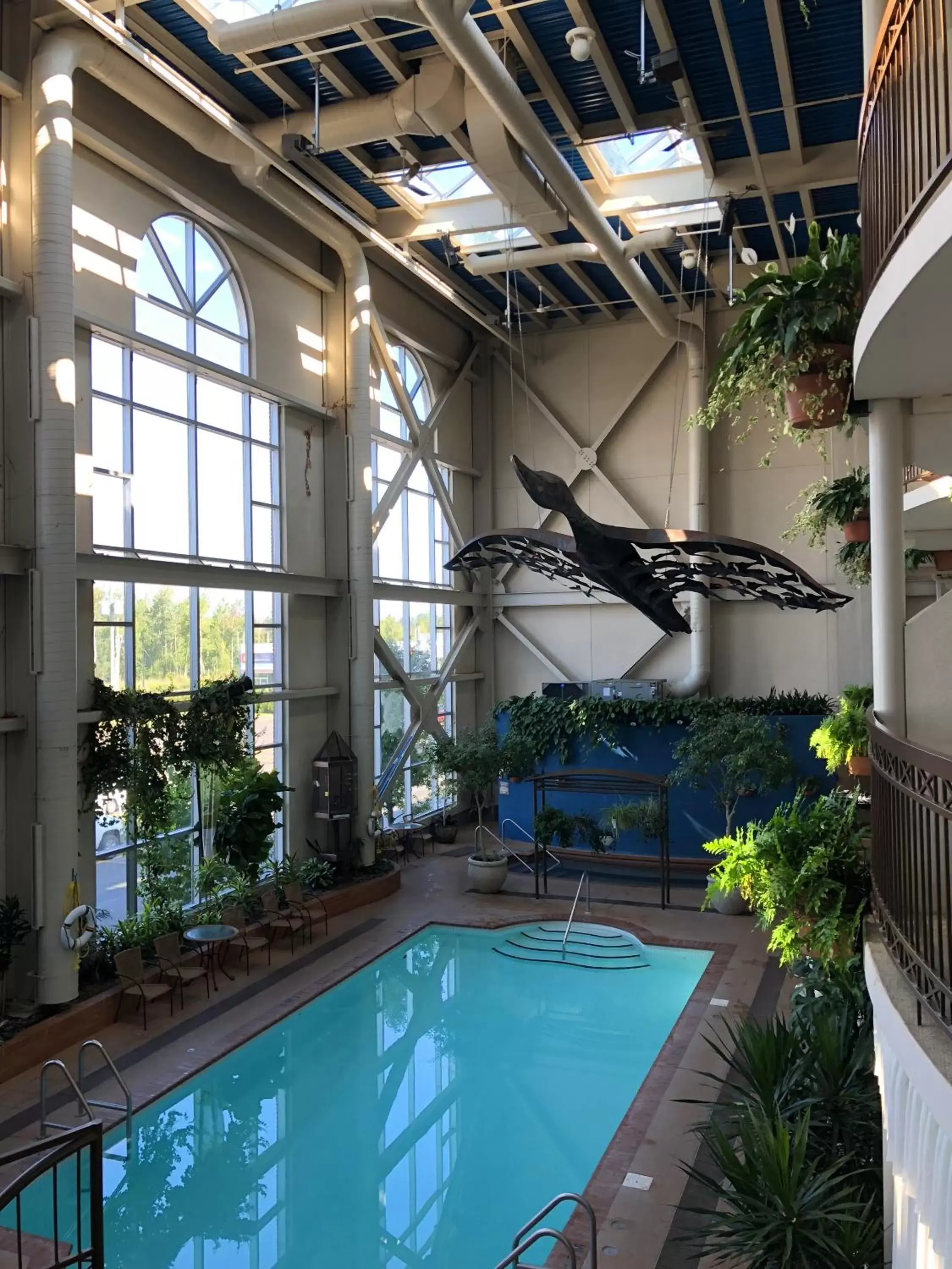 Swimming Pool in Hotel L'Oie des neiges