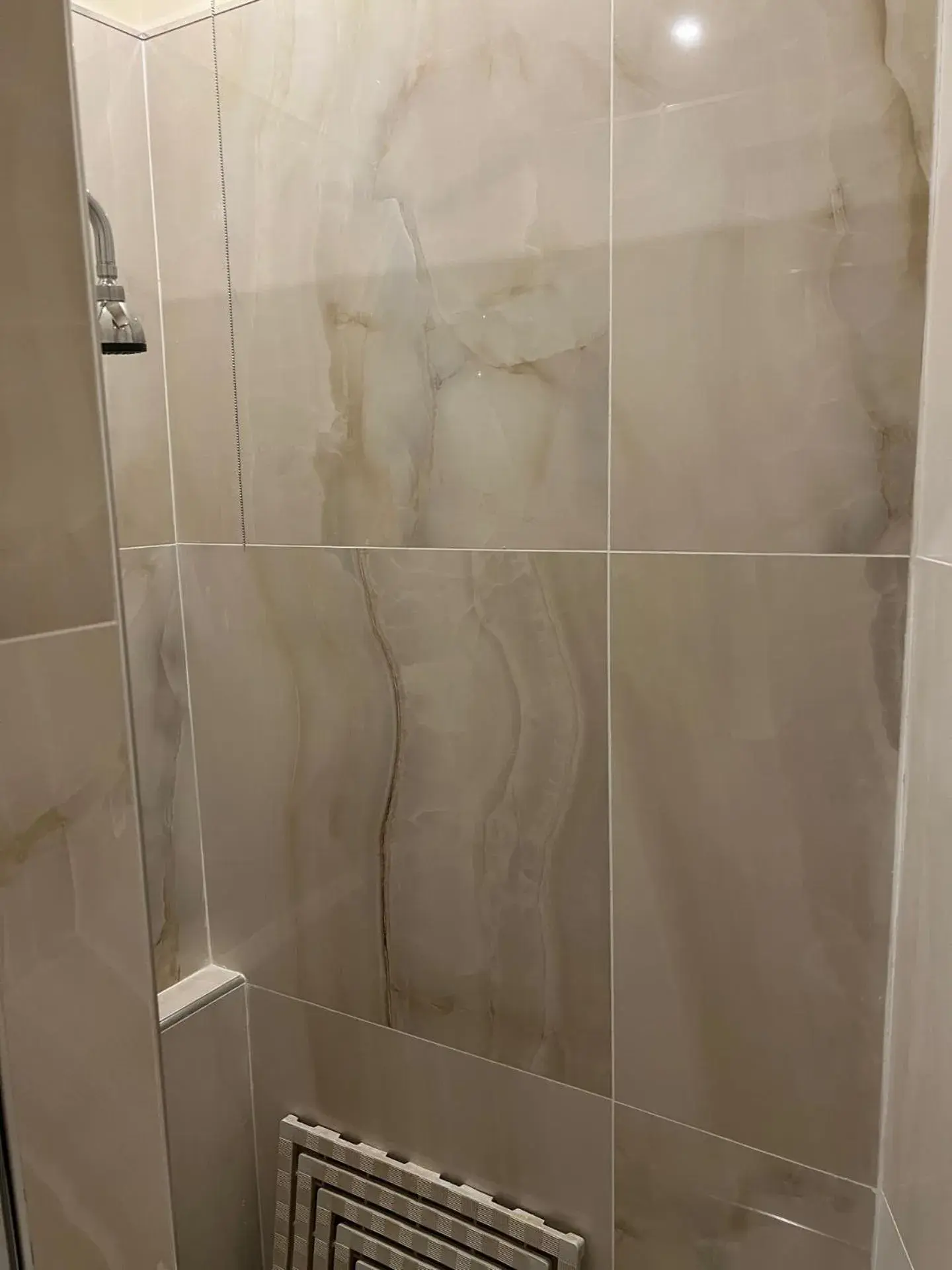 Shower, Bathroom in Hotel Iris