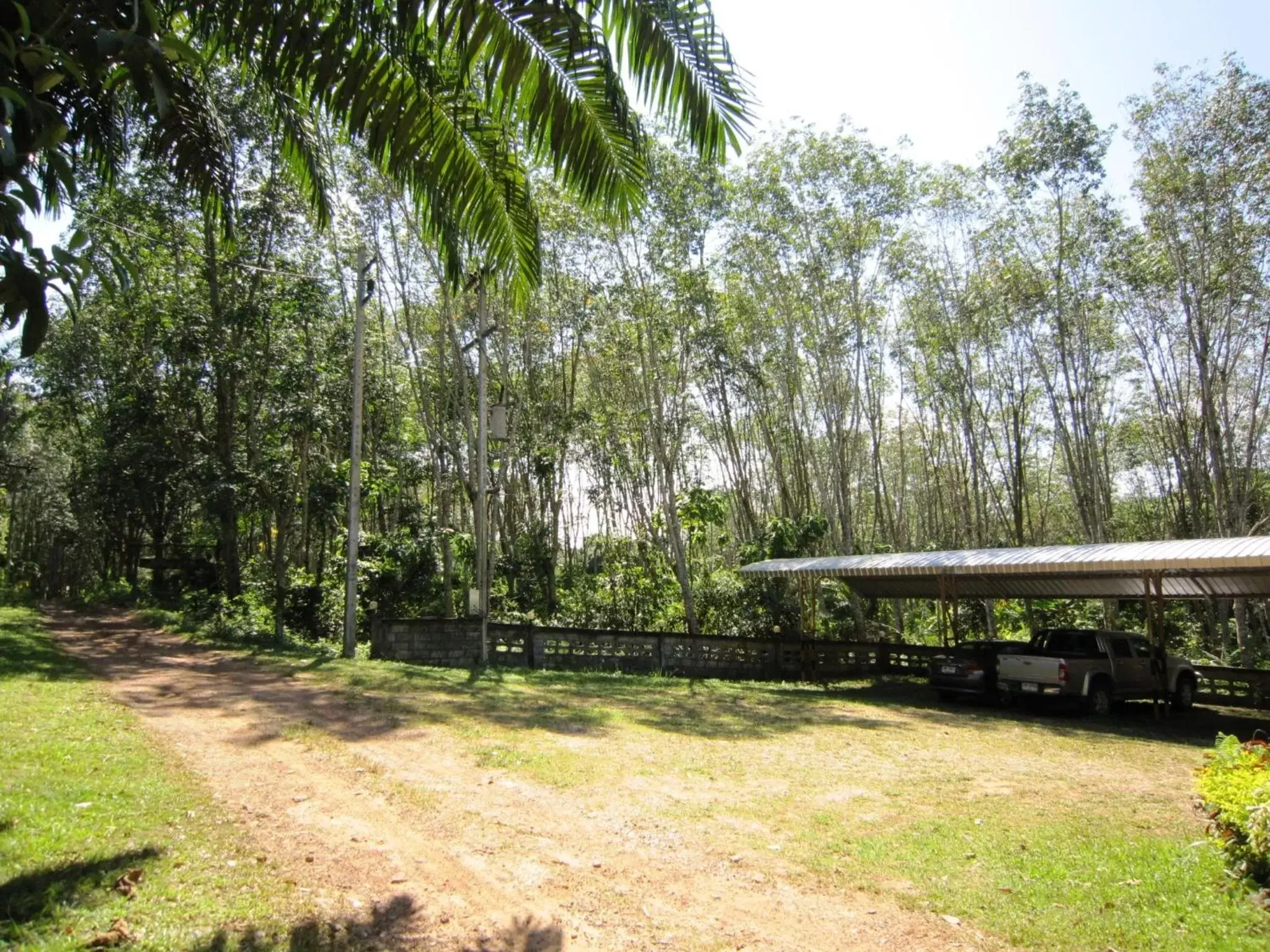 Garden in Phanom Bencha Mountain Resort