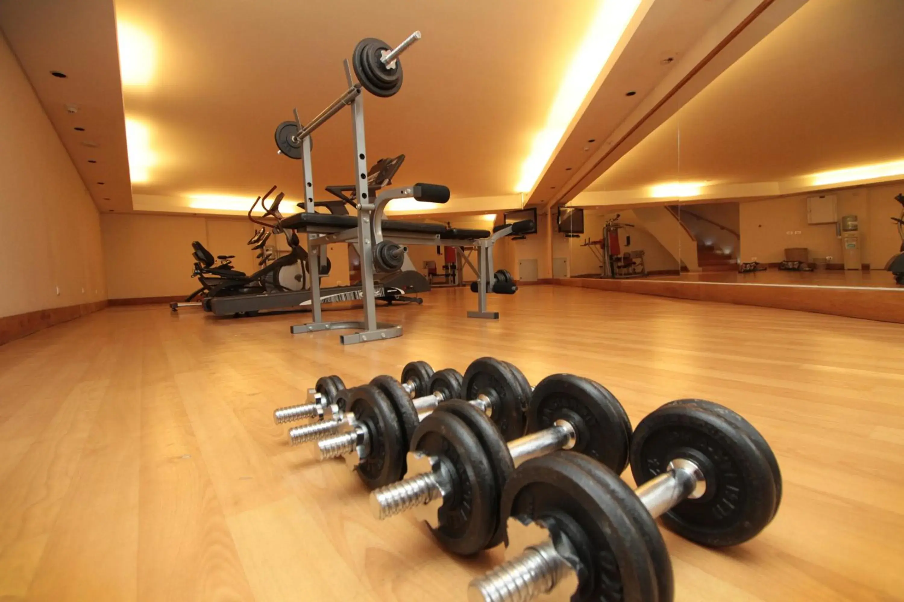 Fitness centre/facilities in Radisson Hotel Puerto Varas Fitness centre/facilities in Radisson Hotel Puerto Varas