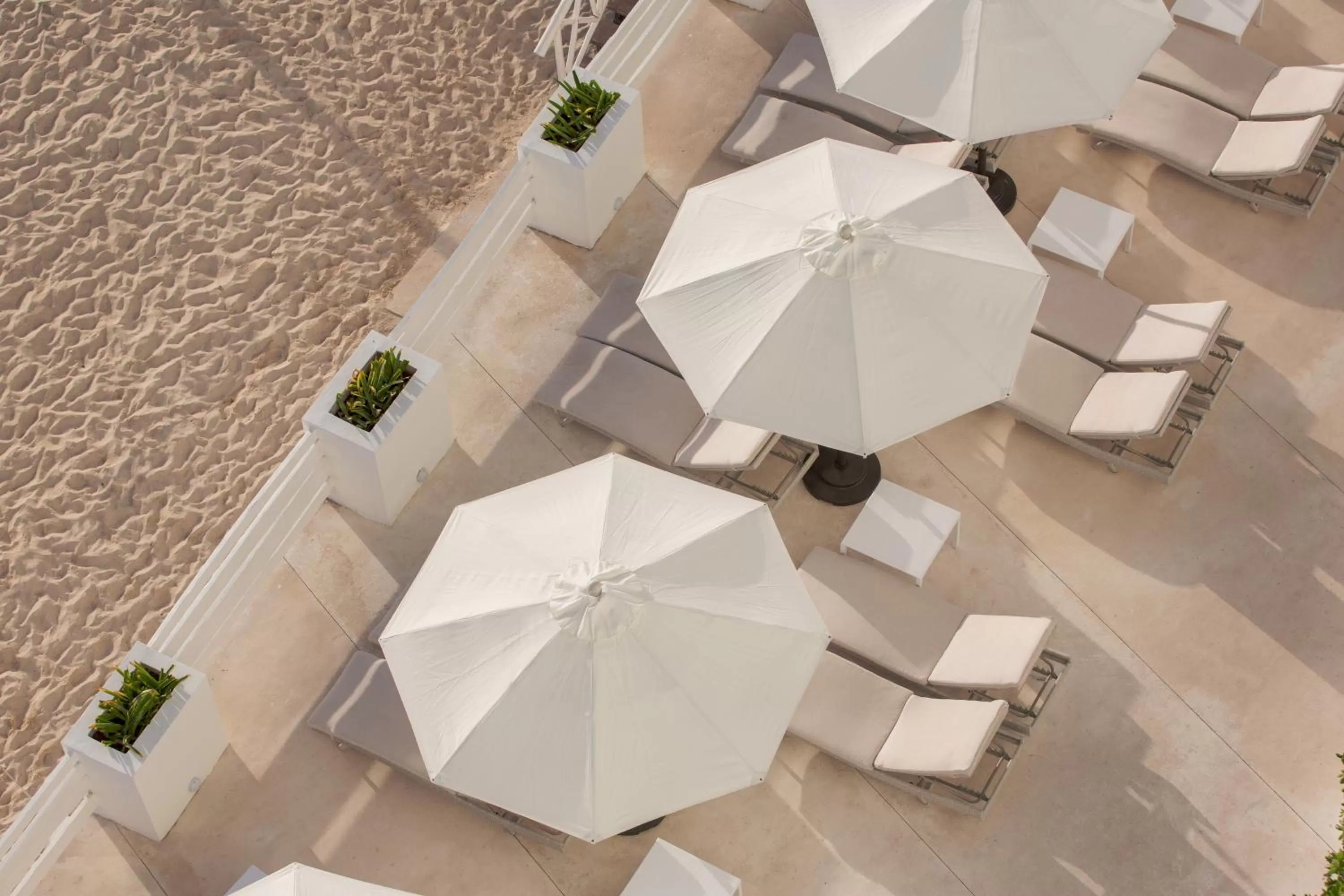 Beach in Oleo Cancun Playa All Inclusive Resort