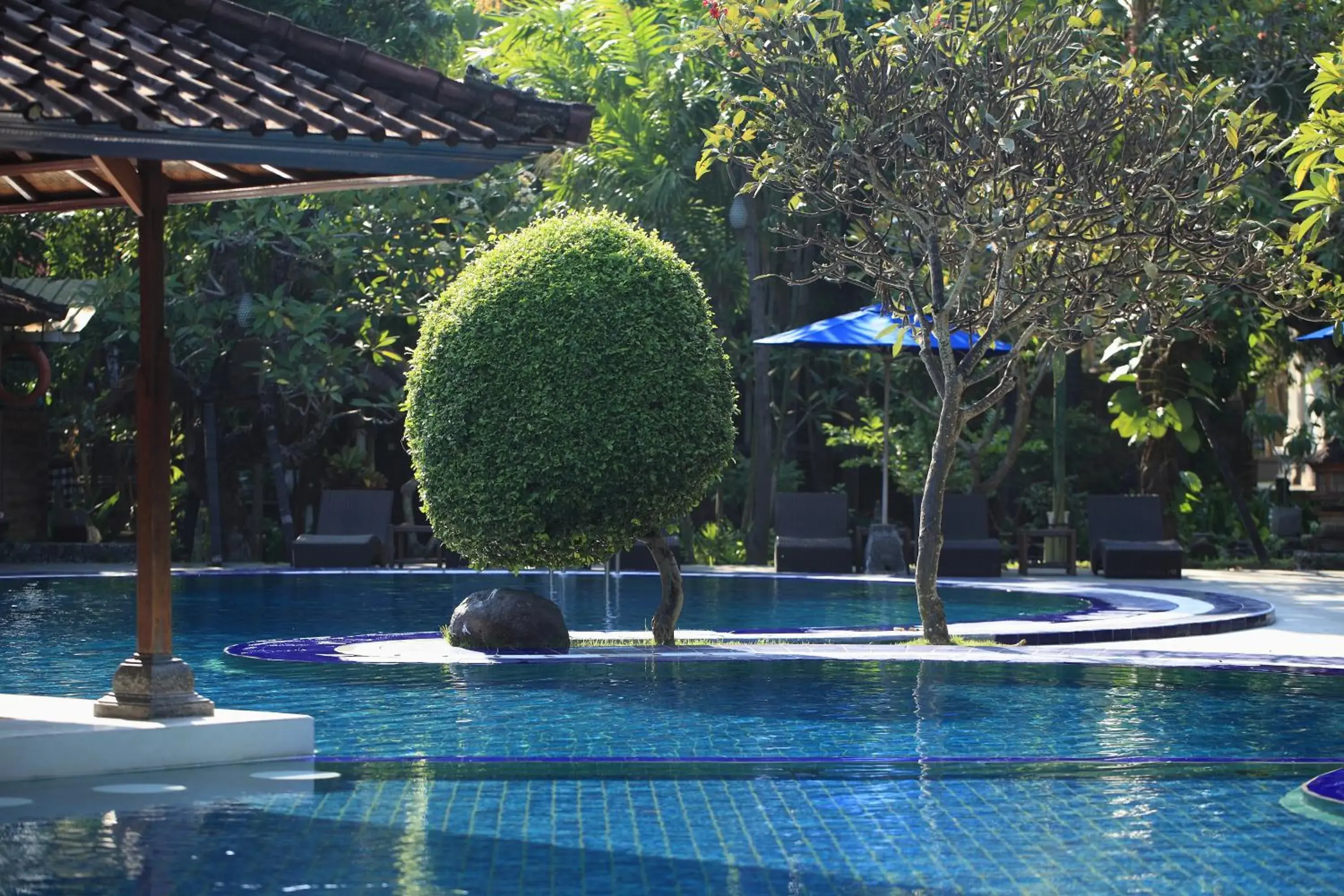 Swimming pool in Matahari Bungalow Hotel