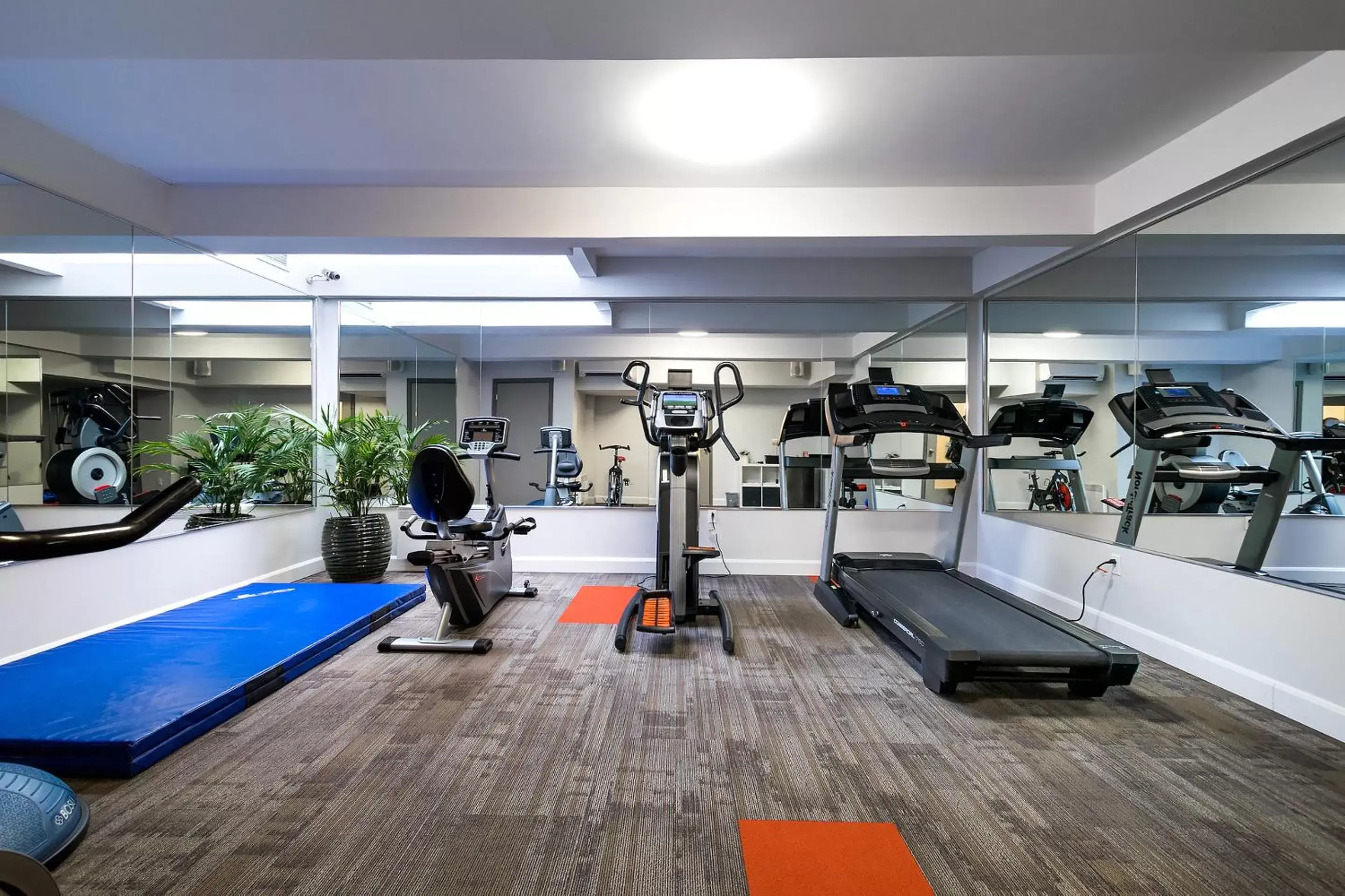 Fitness centre/facilities, Fitness Center/Facilities in Terrasse Royale Hotel