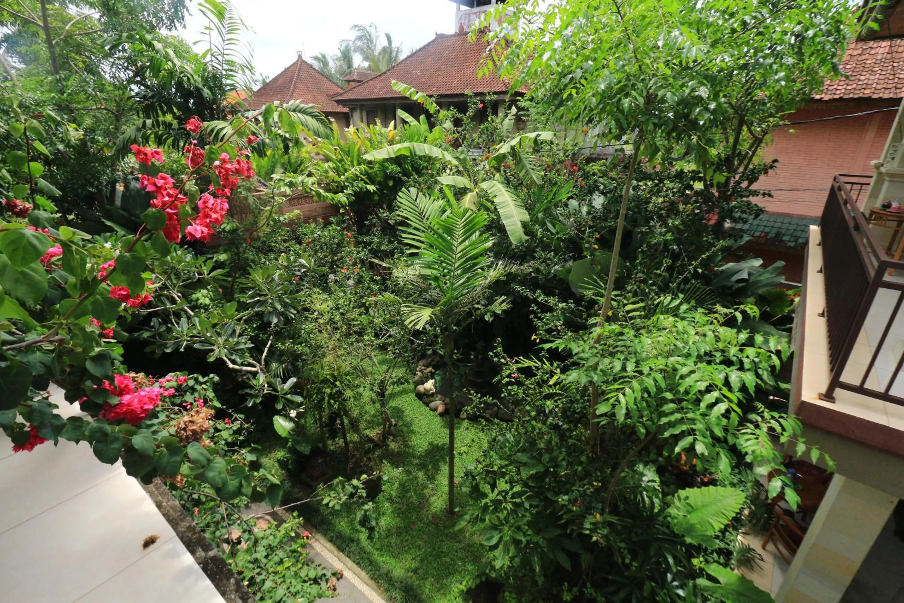 Garden in Frangipani Bungalow