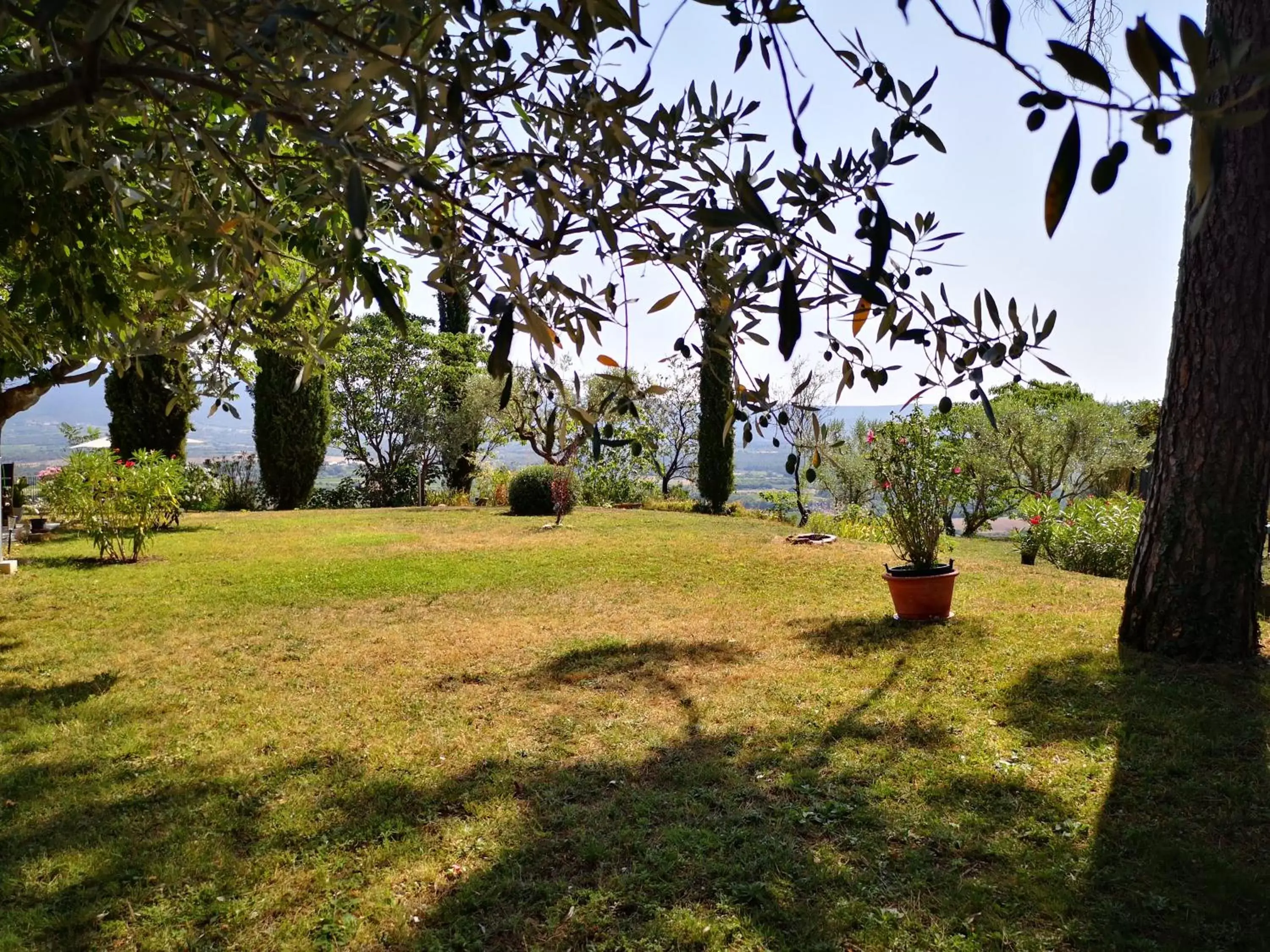 Garden in La Bastide du Limon