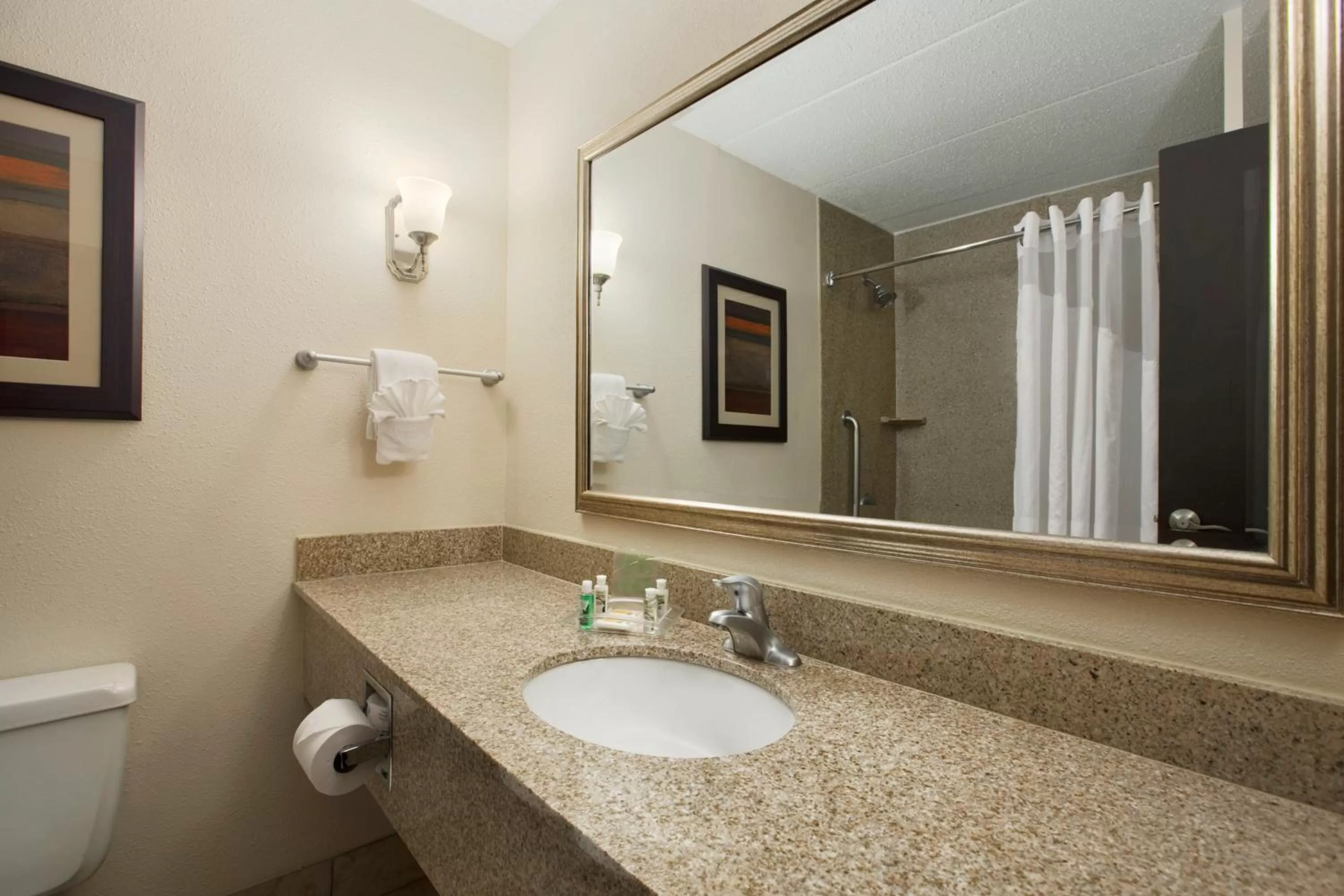 Bathroom in Holiday Inn and Suites Charleston West by IHG