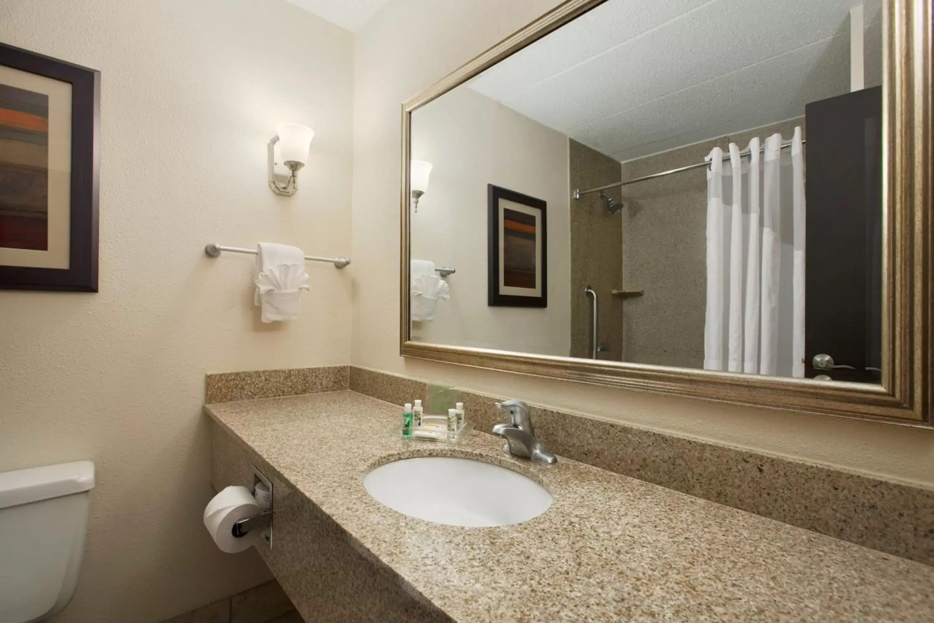 Bathroom in Holiday Inn and Suites Charleston West, an IHG Hotel