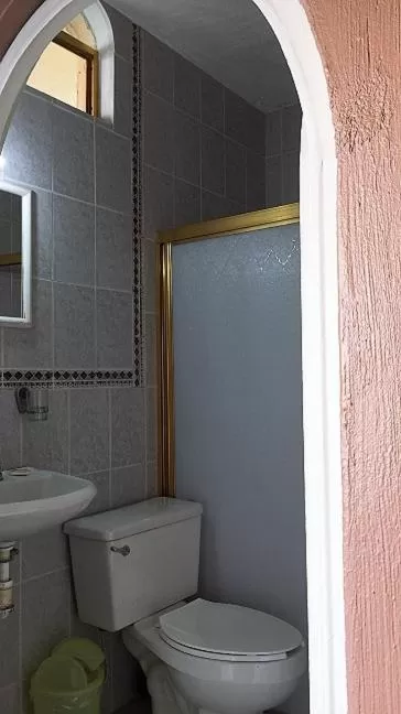 Toilet in Hotel Posada San Rafael