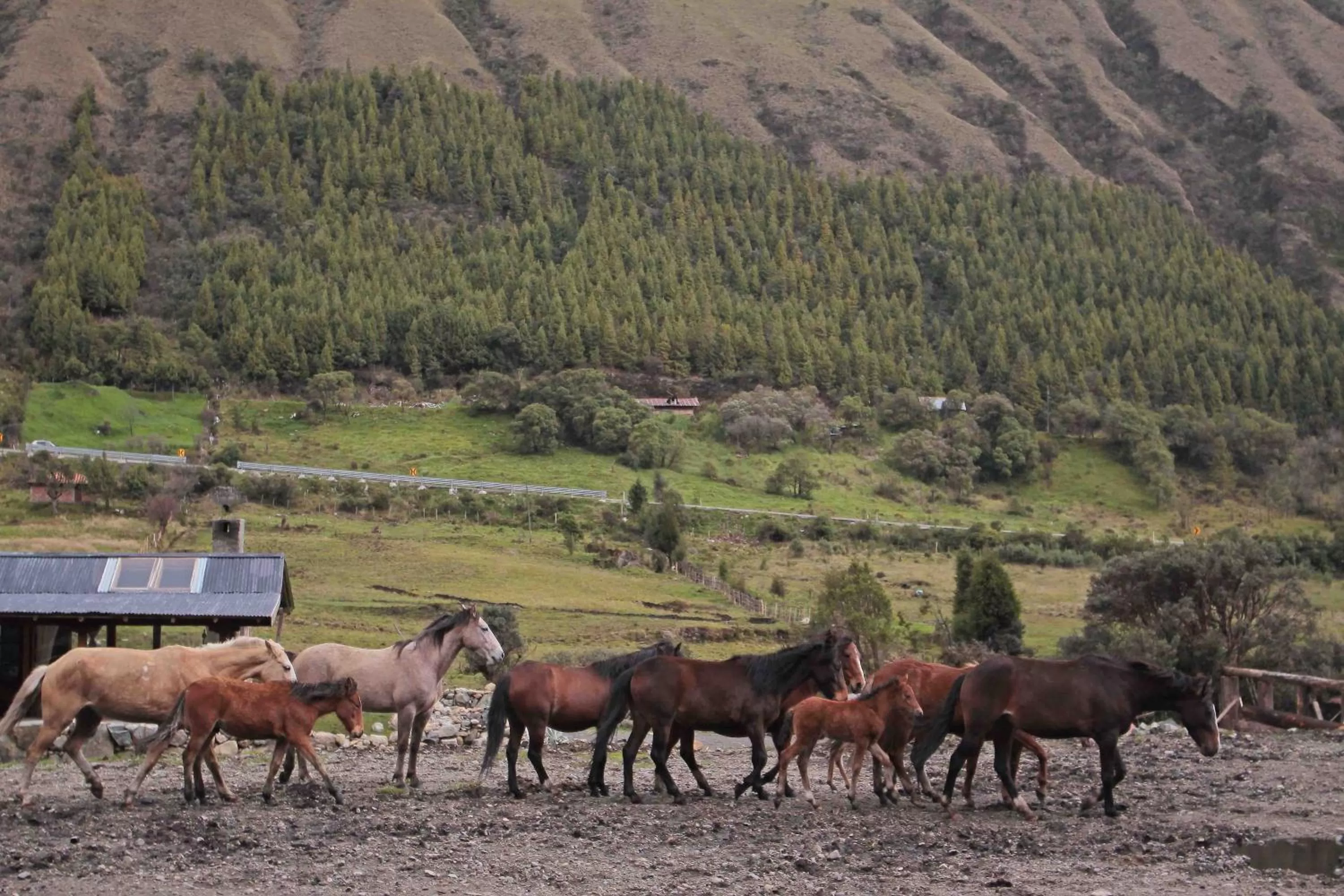 Natural landscape in Hacienda Hostería Dos Chorreras