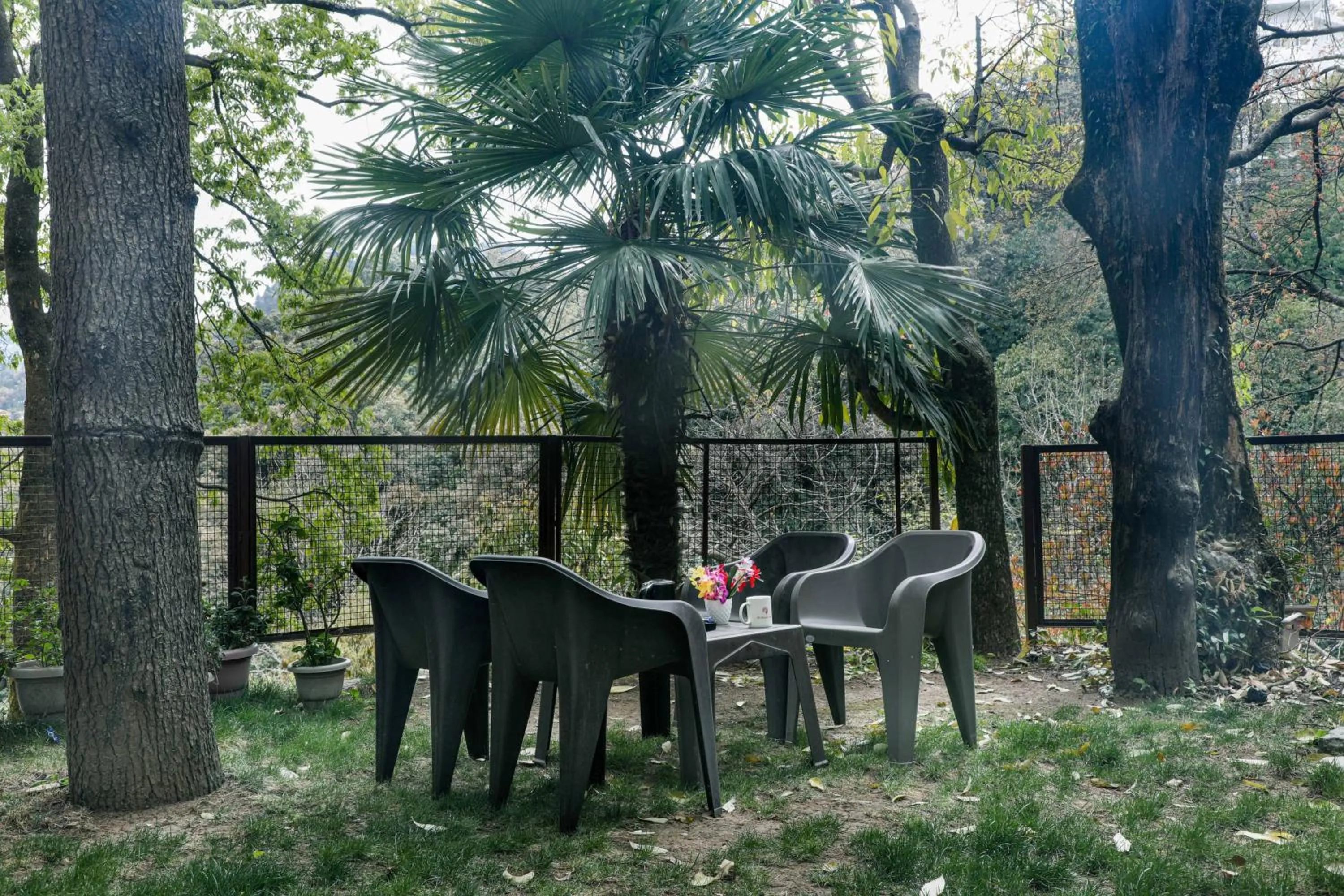 Patio in The Mountain Quail