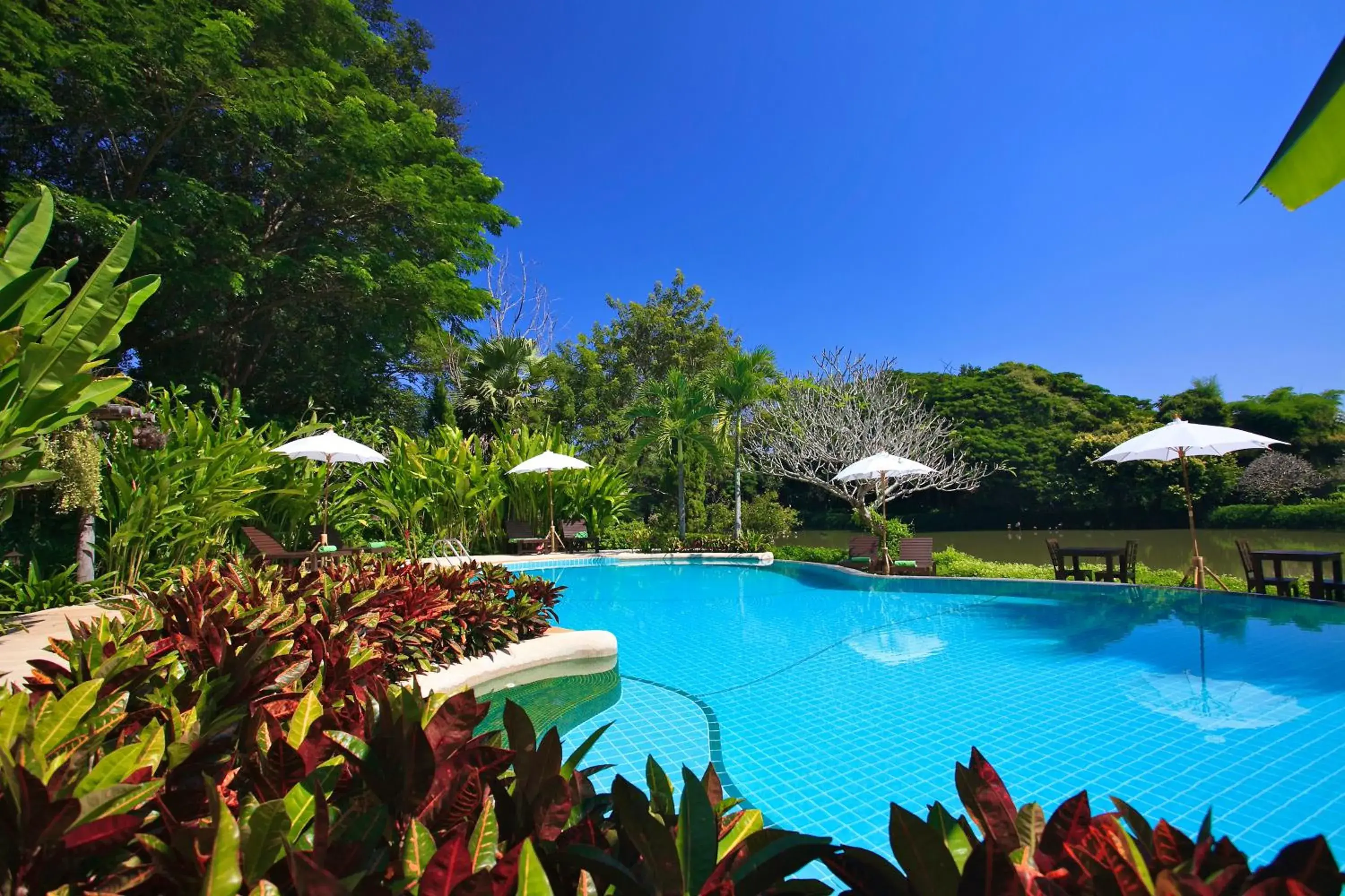 Swimming Pool in Lampang River Lodge (SHA Certified)