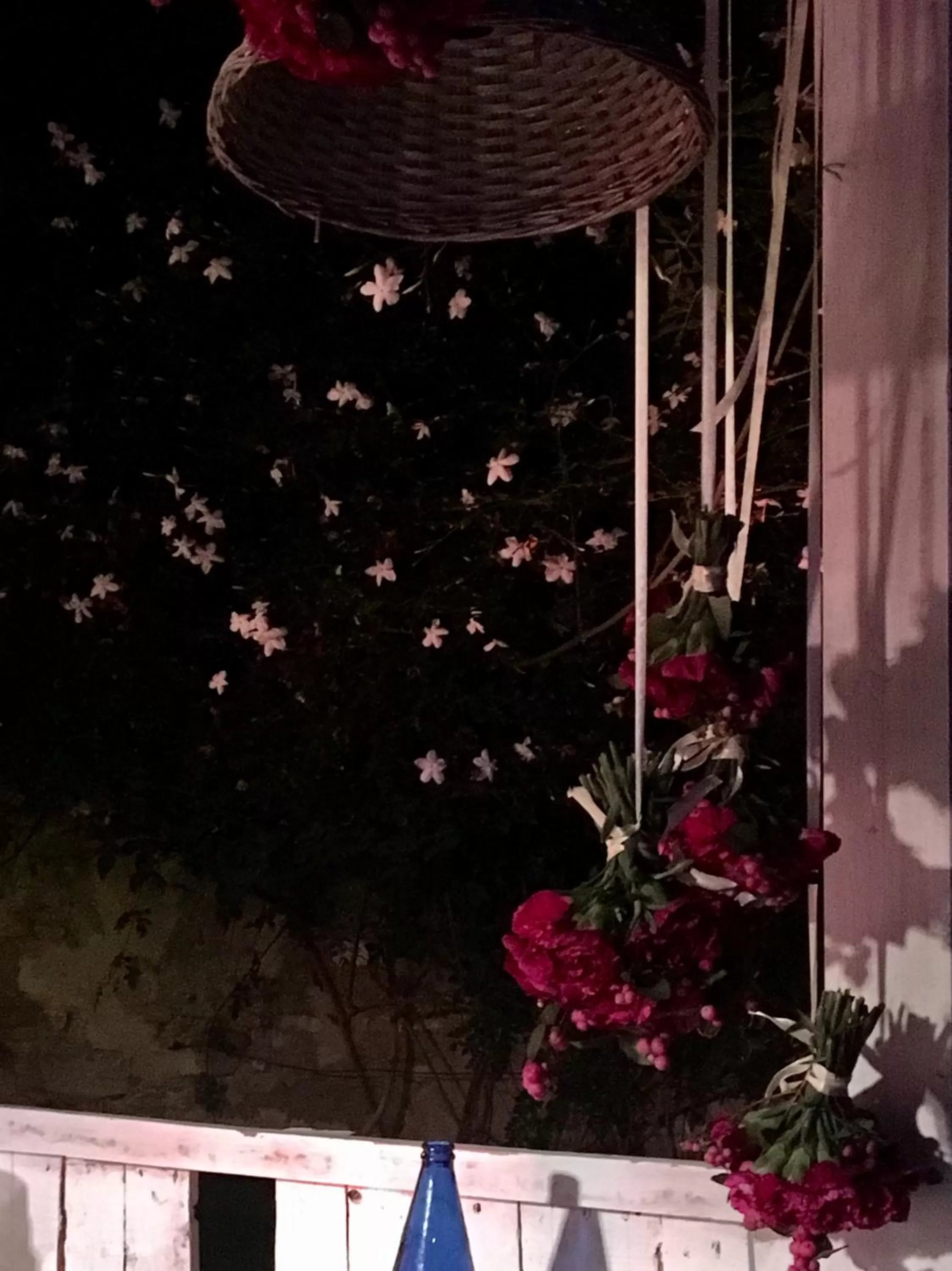 Garden in Convento Tarifa