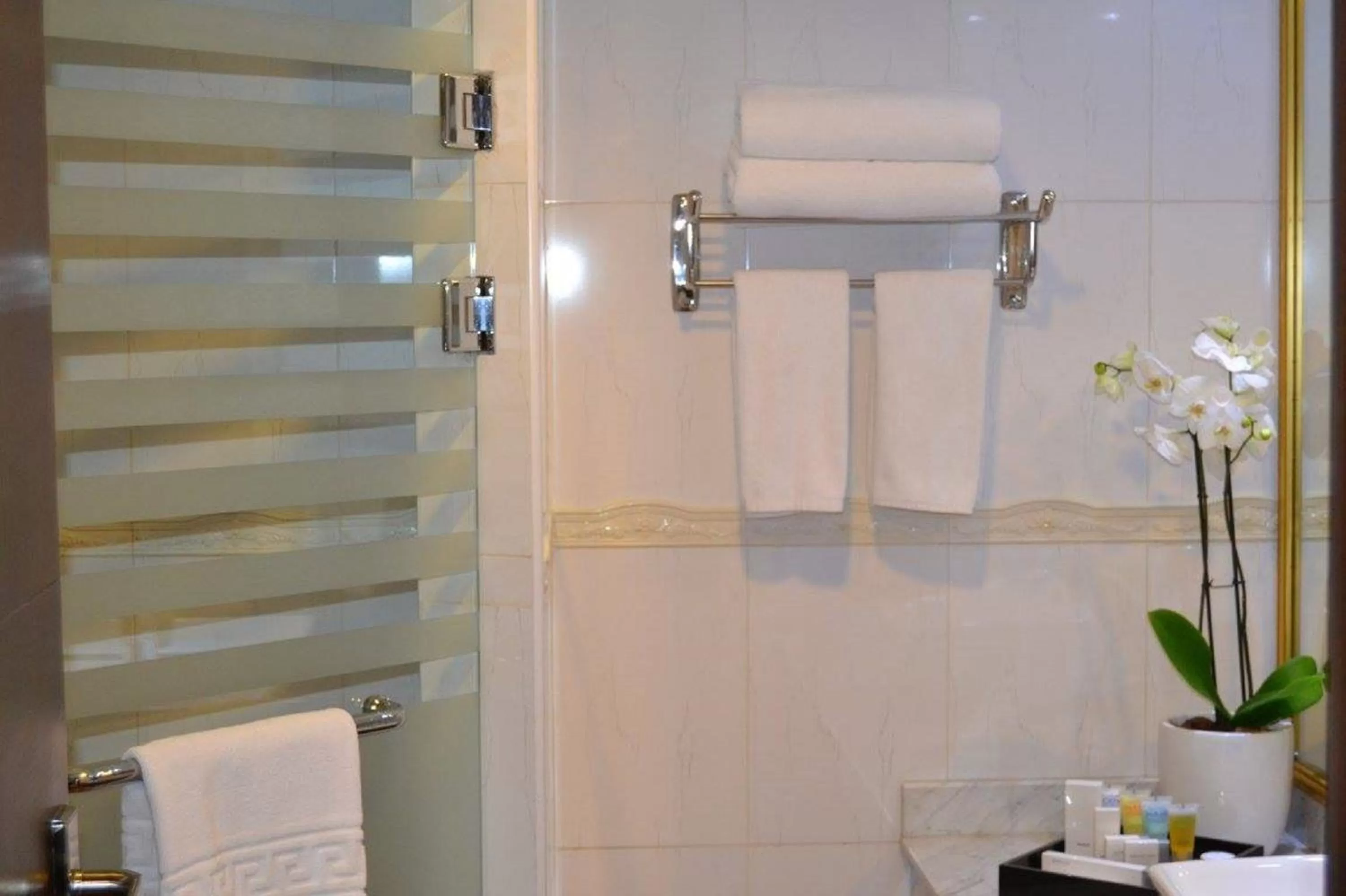 Shower in Best Western Plus Doha