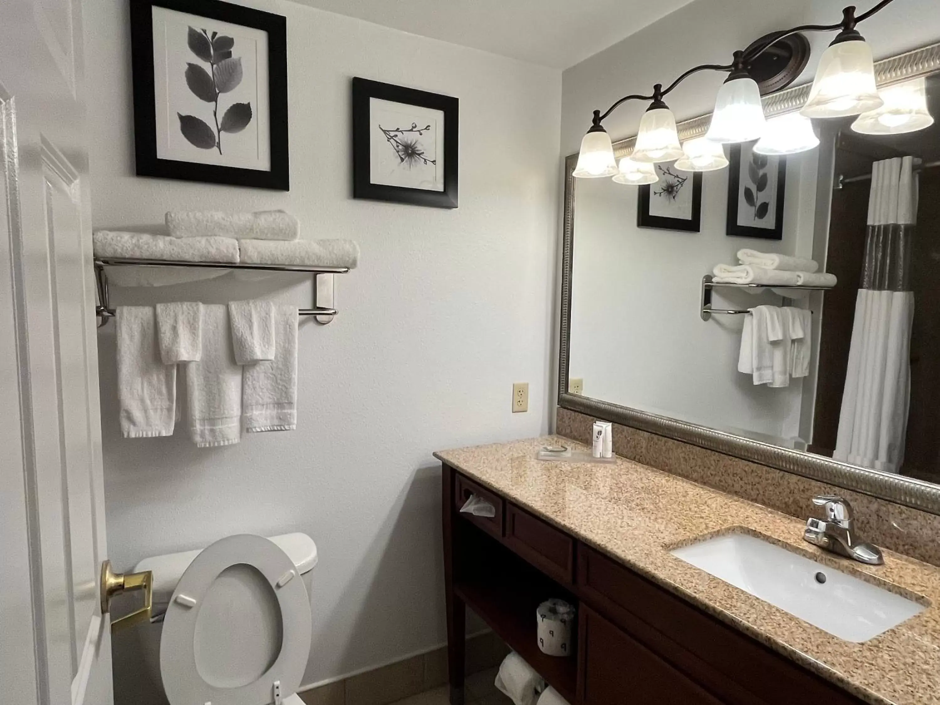 Toilet, Bathroom in Country Inn & Suites by Radisson, Harrisburg - Hershey-West, PA