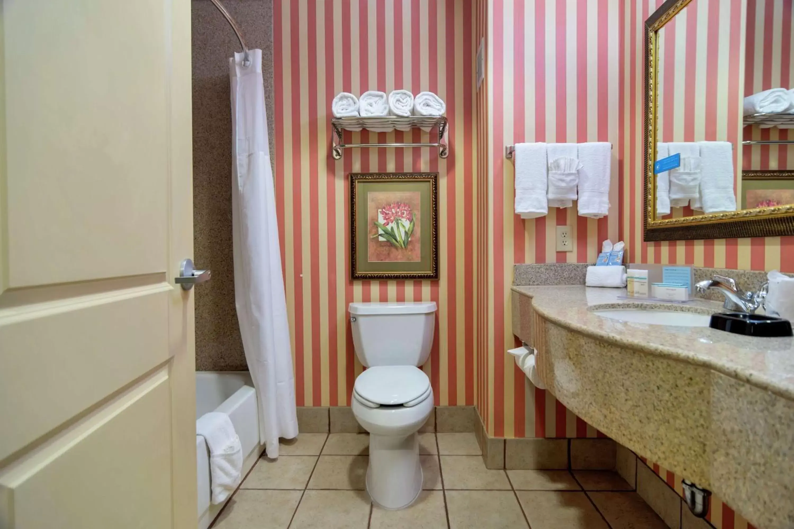 Bathroom in Hampton Inn & Suites Dallas-DFW Airport Hurst