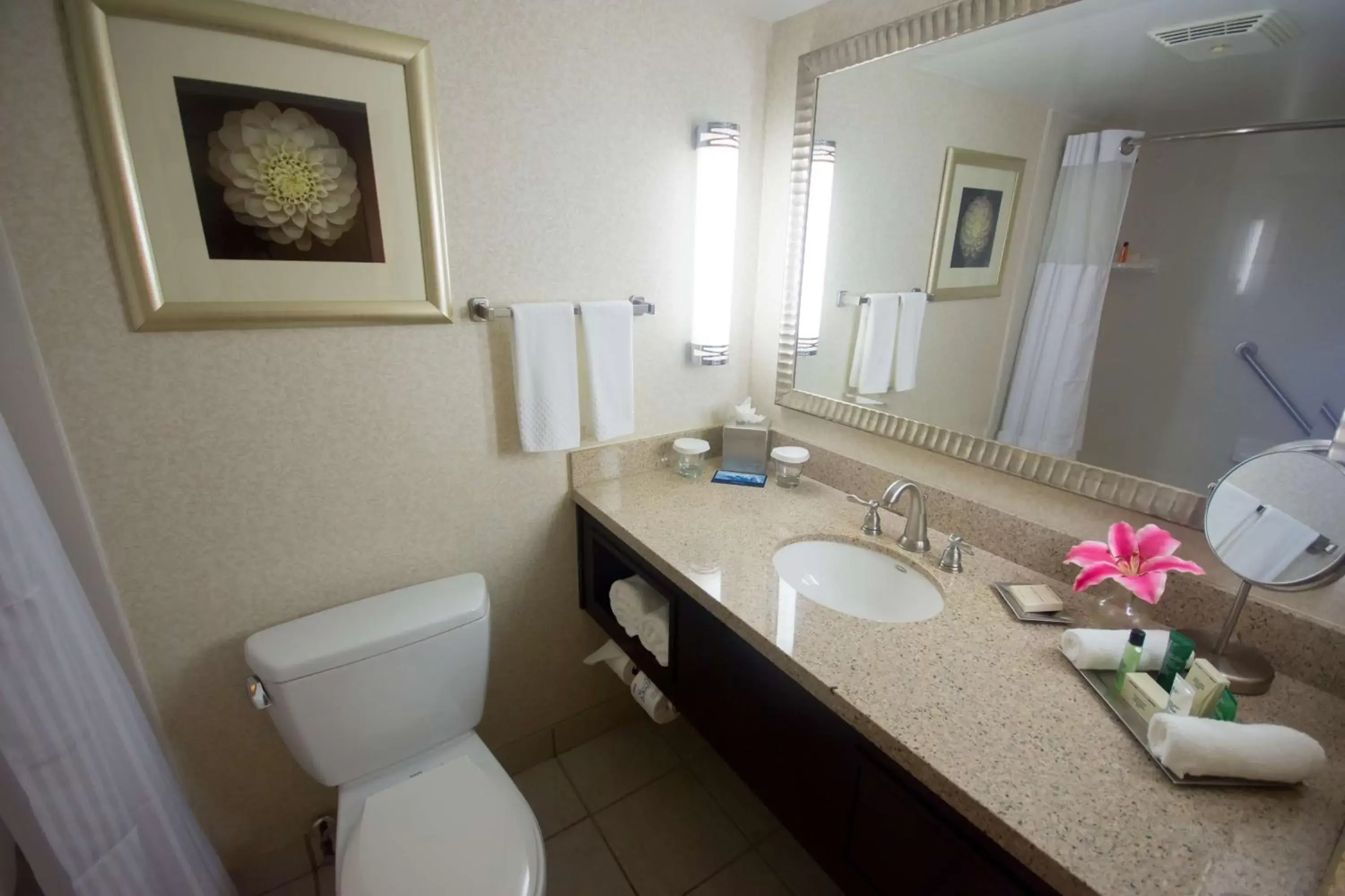 Bathroom in Hilton Palm Beach Airport