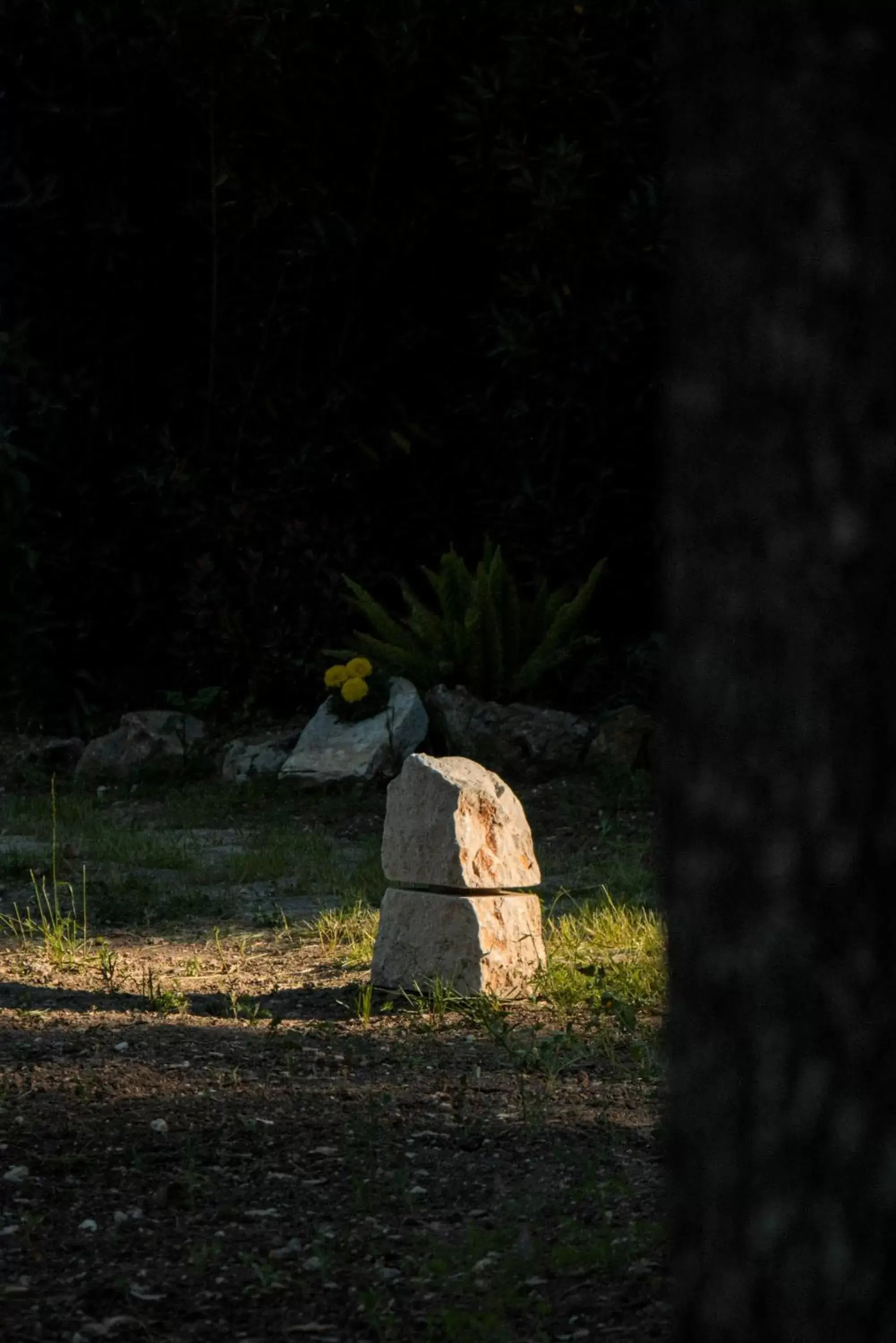 Garden in Otto Apulia House