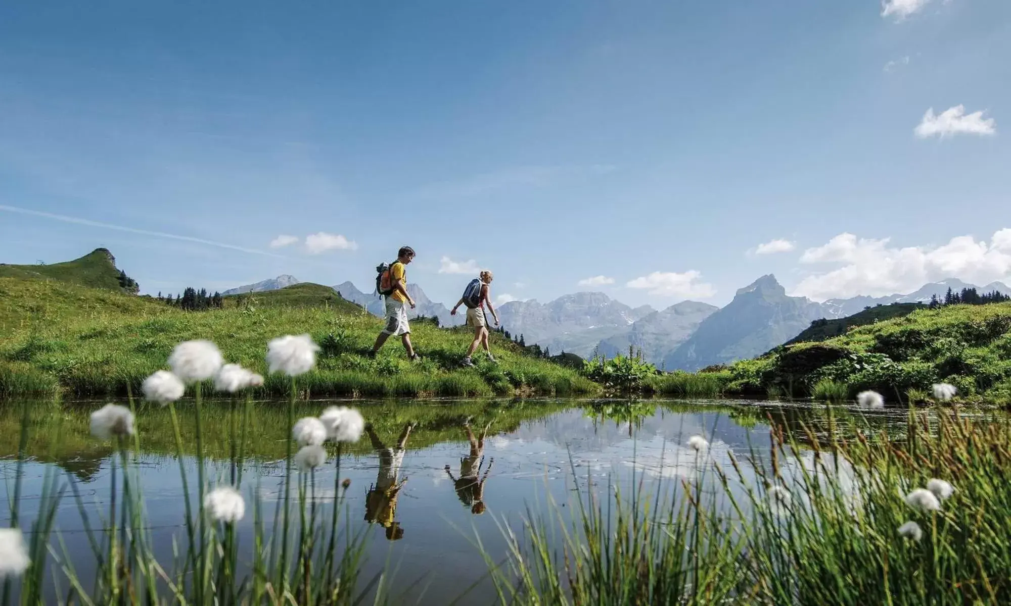 Nearby landmark, Natural Landscape in Alpenclub