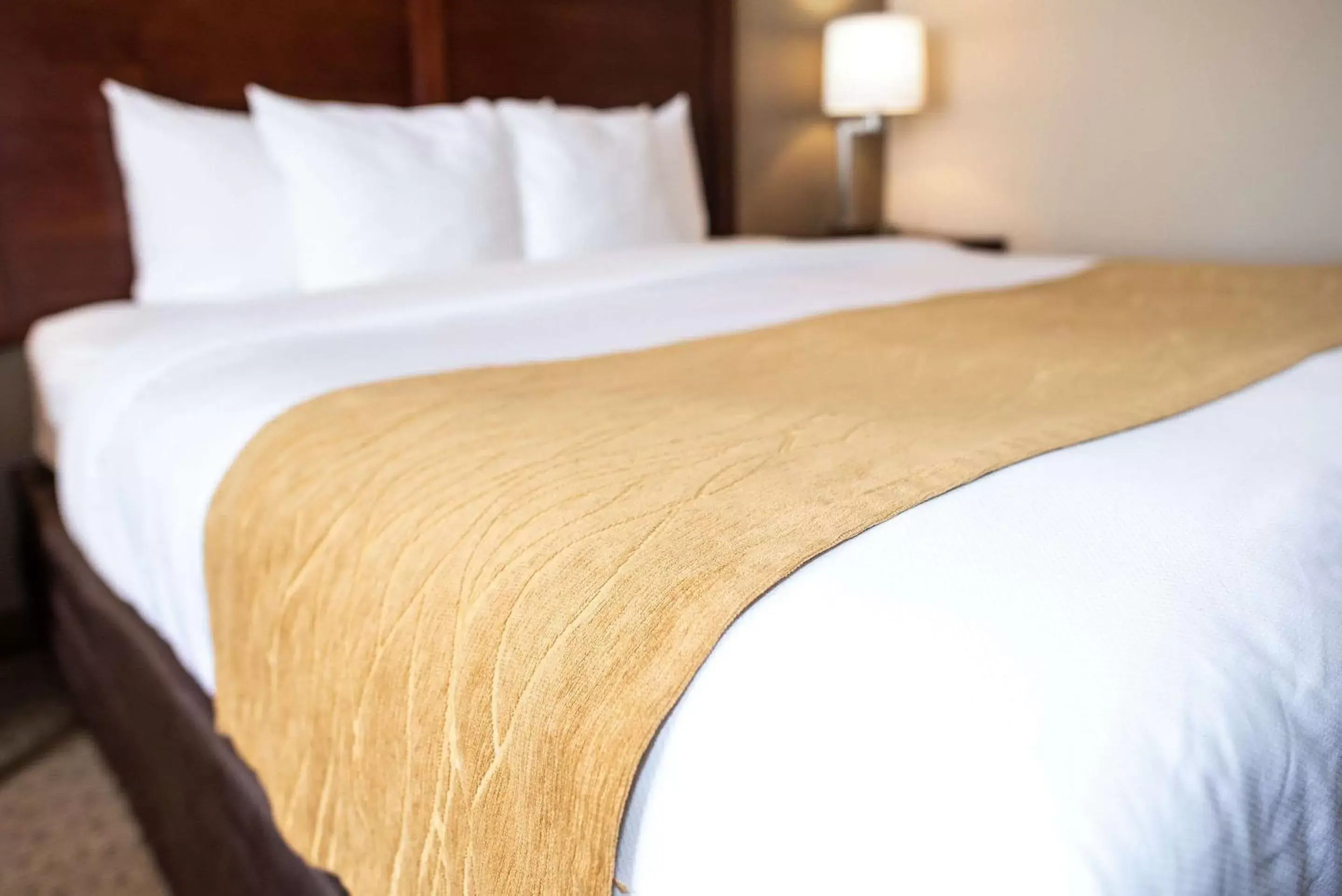 Photo of the whole room, Bed in Comfort Inn & Suites Near Custer State Park and Mt Rushmore