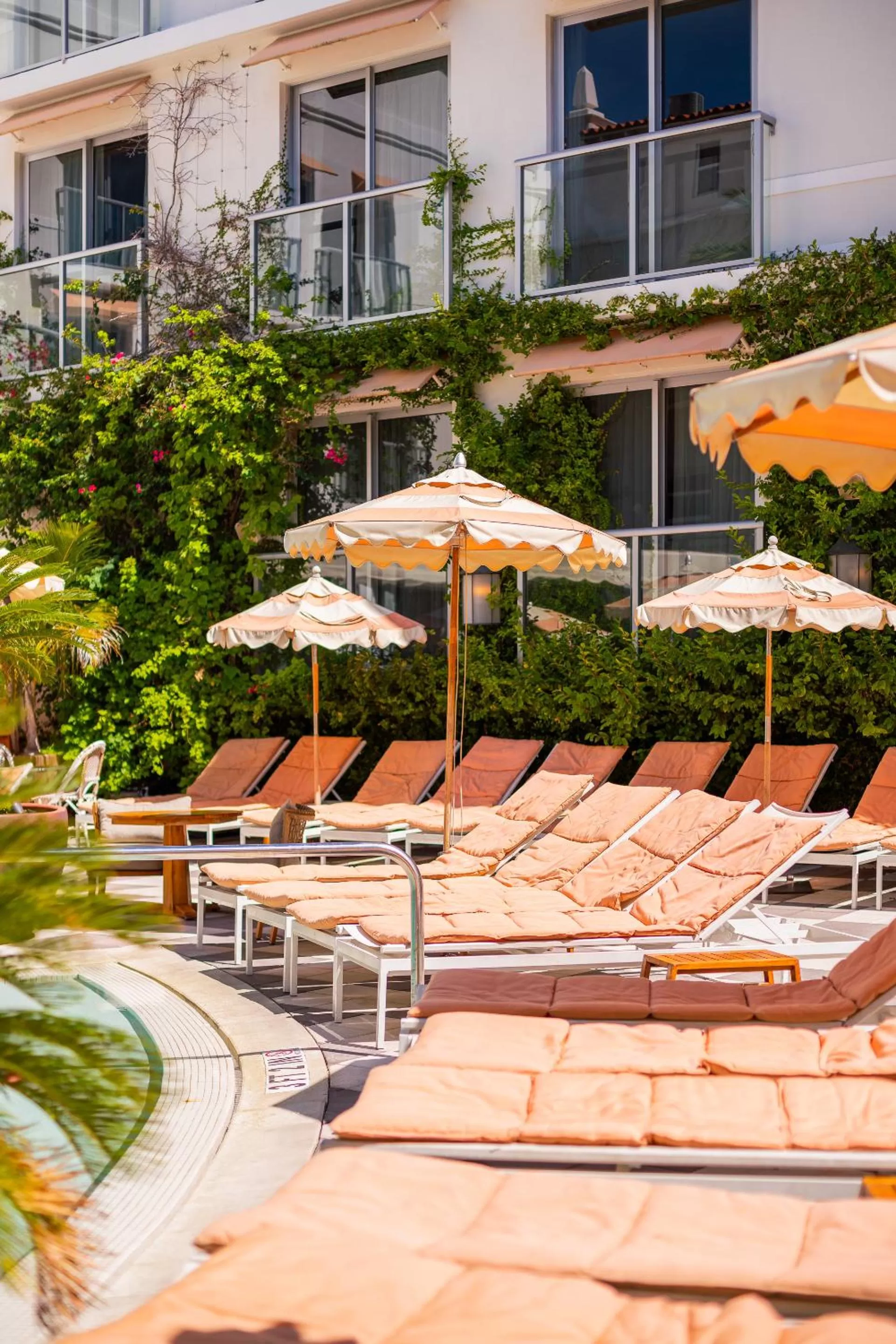 sunbed in The Plymouth South Beach