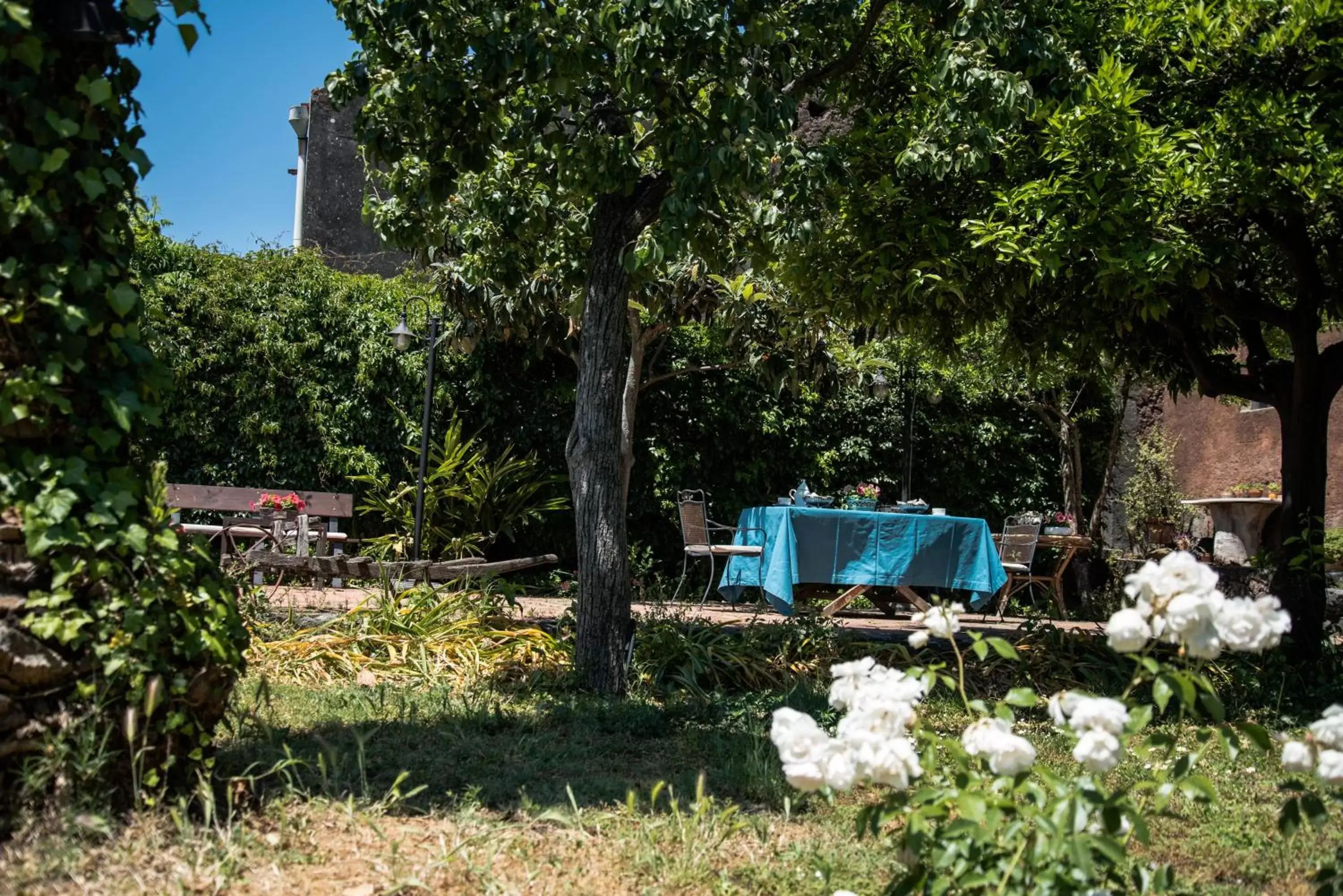 Breakfast, Garden in B&B Valle Allegra