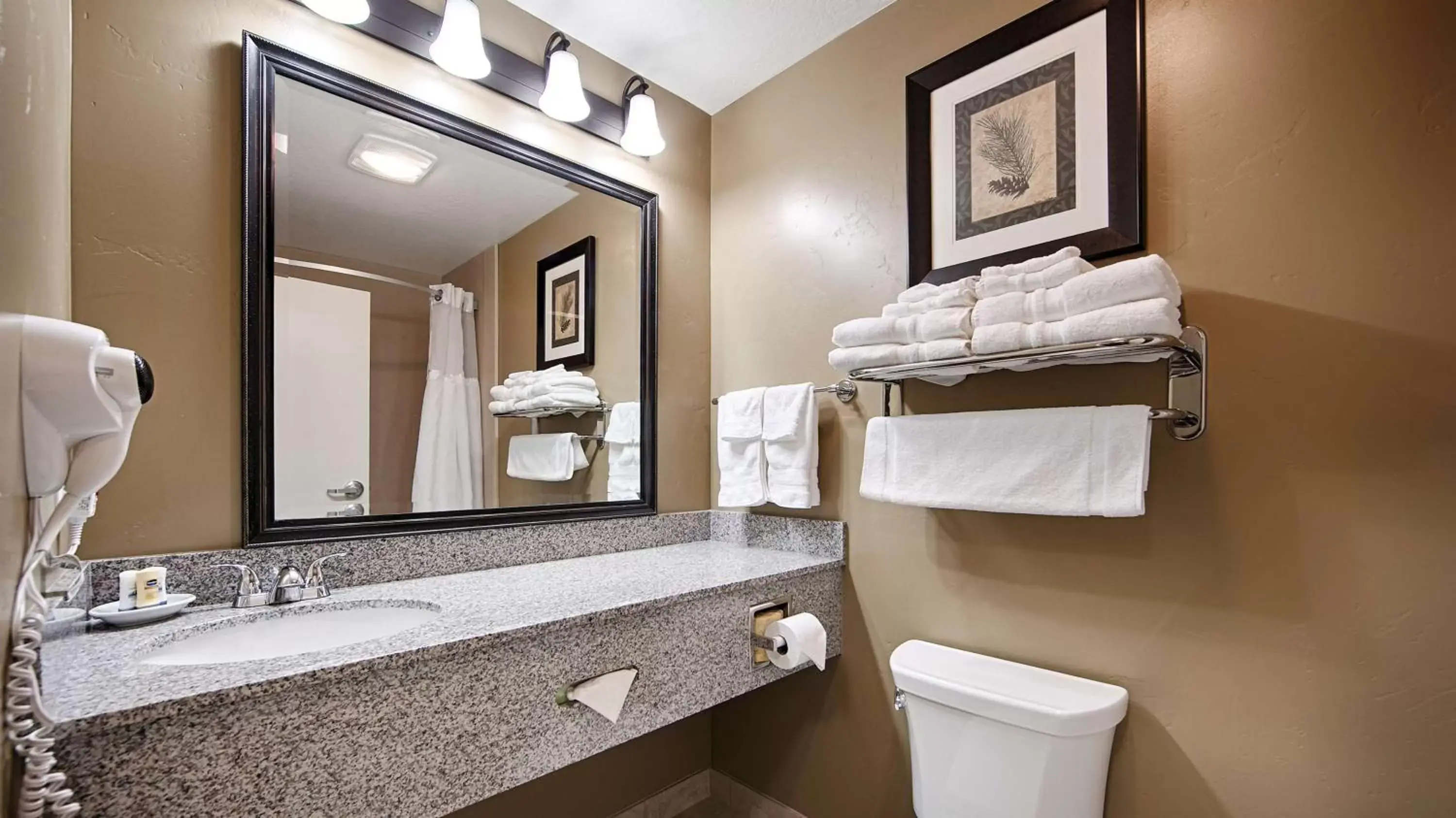 Bathroom in Best Western Plus Layton Park Hotel