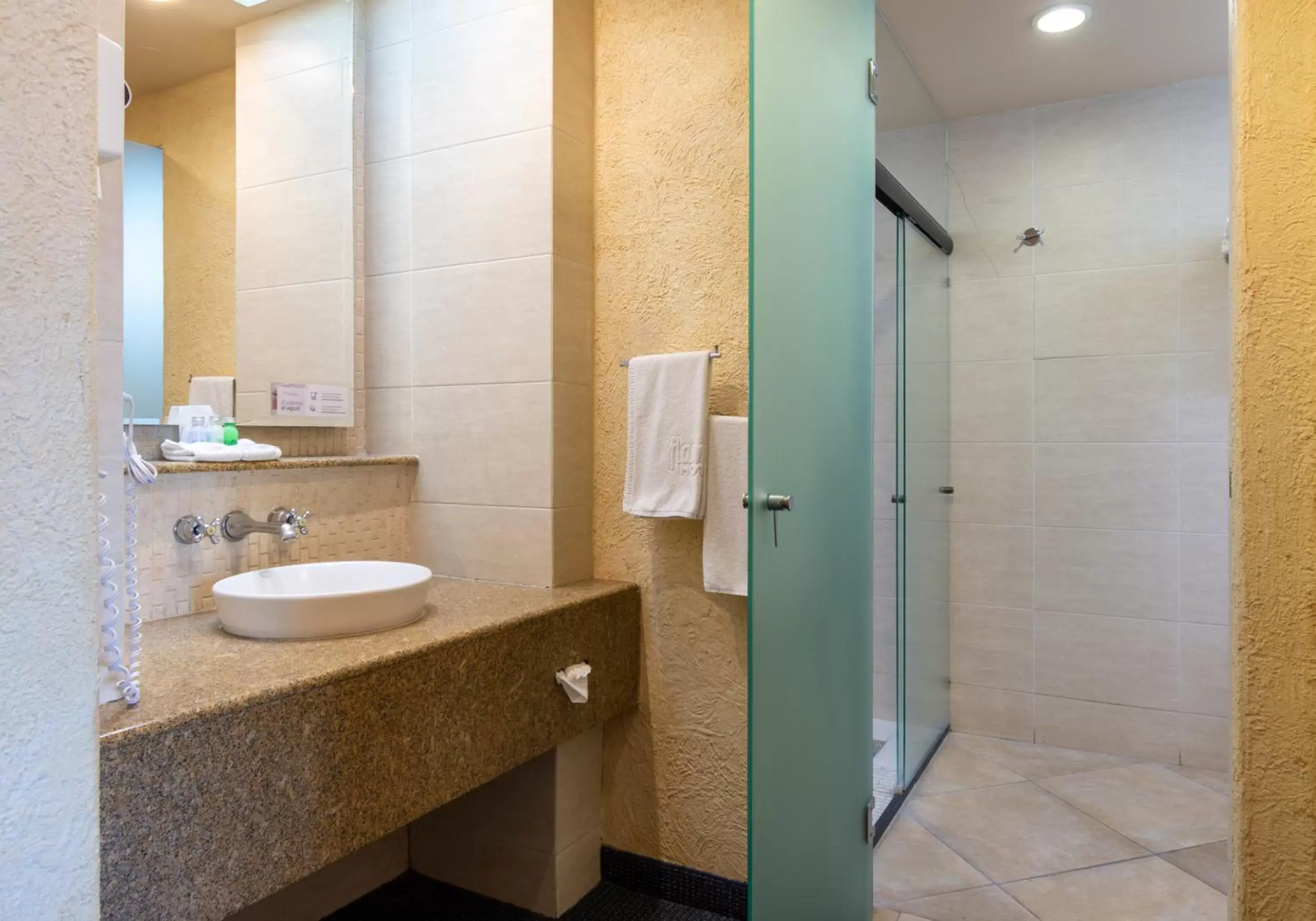 Shower, Bathroom in Hotel Flamingo Inn