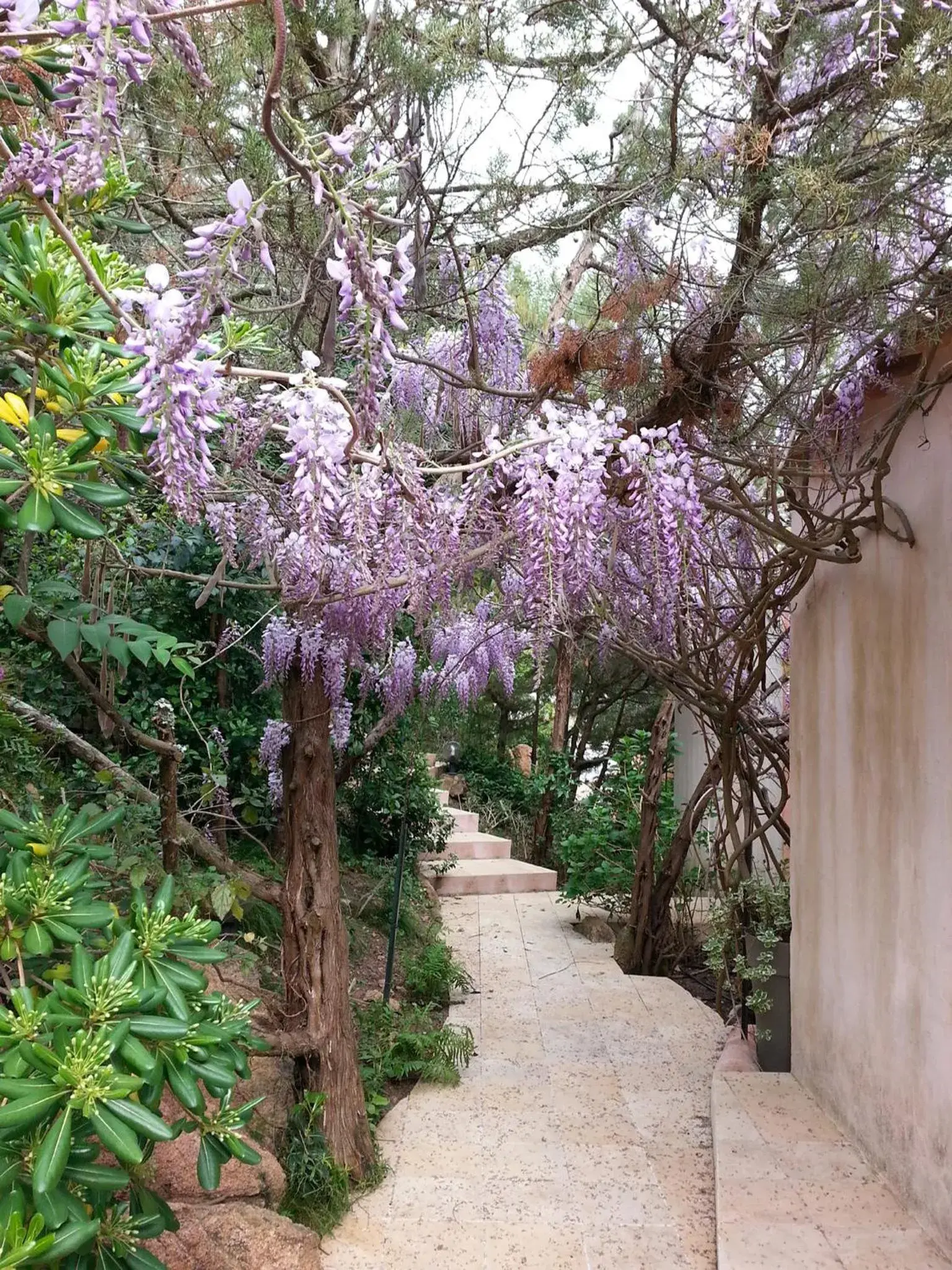 Garden in Private Hôtel - Adult Only