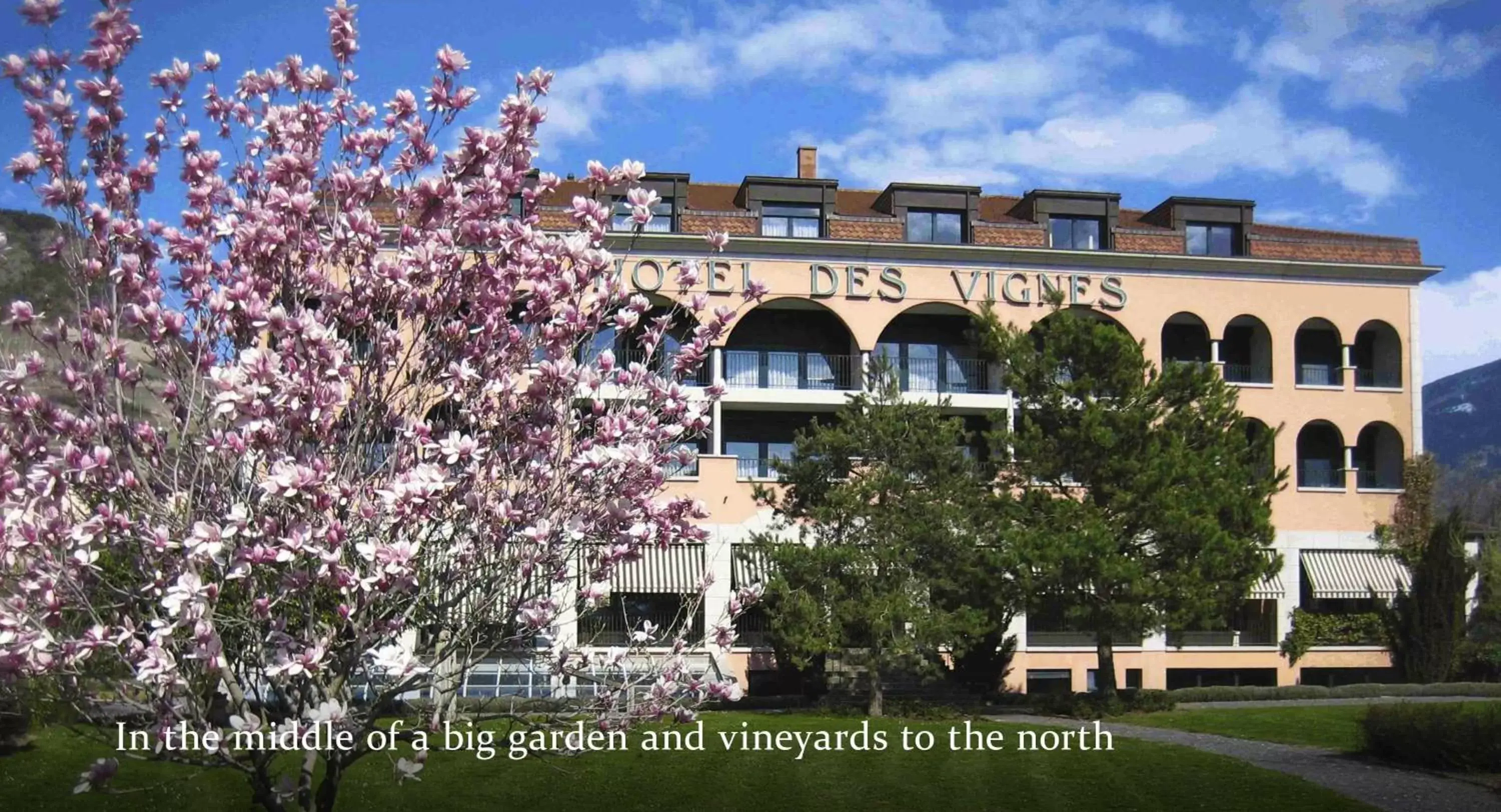 Garden, Property Building in Hôtel des Vignes