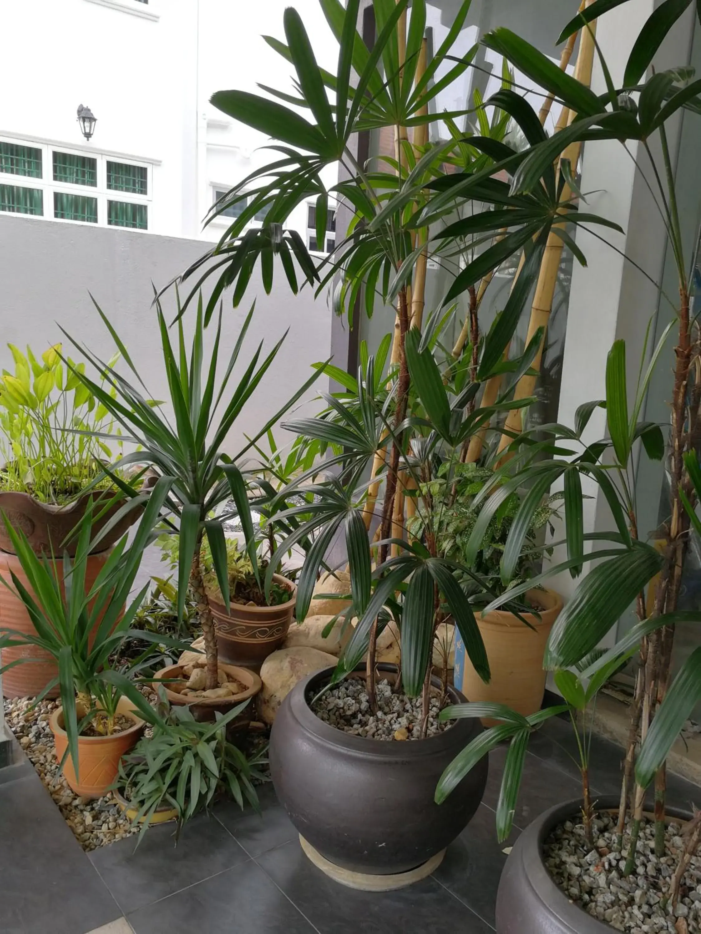 Millenium maison home Millenium maison home