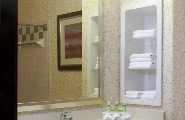 Bathroom in Holiday Inn Express Hotel and Suites Brownsville, an IHG Hotel