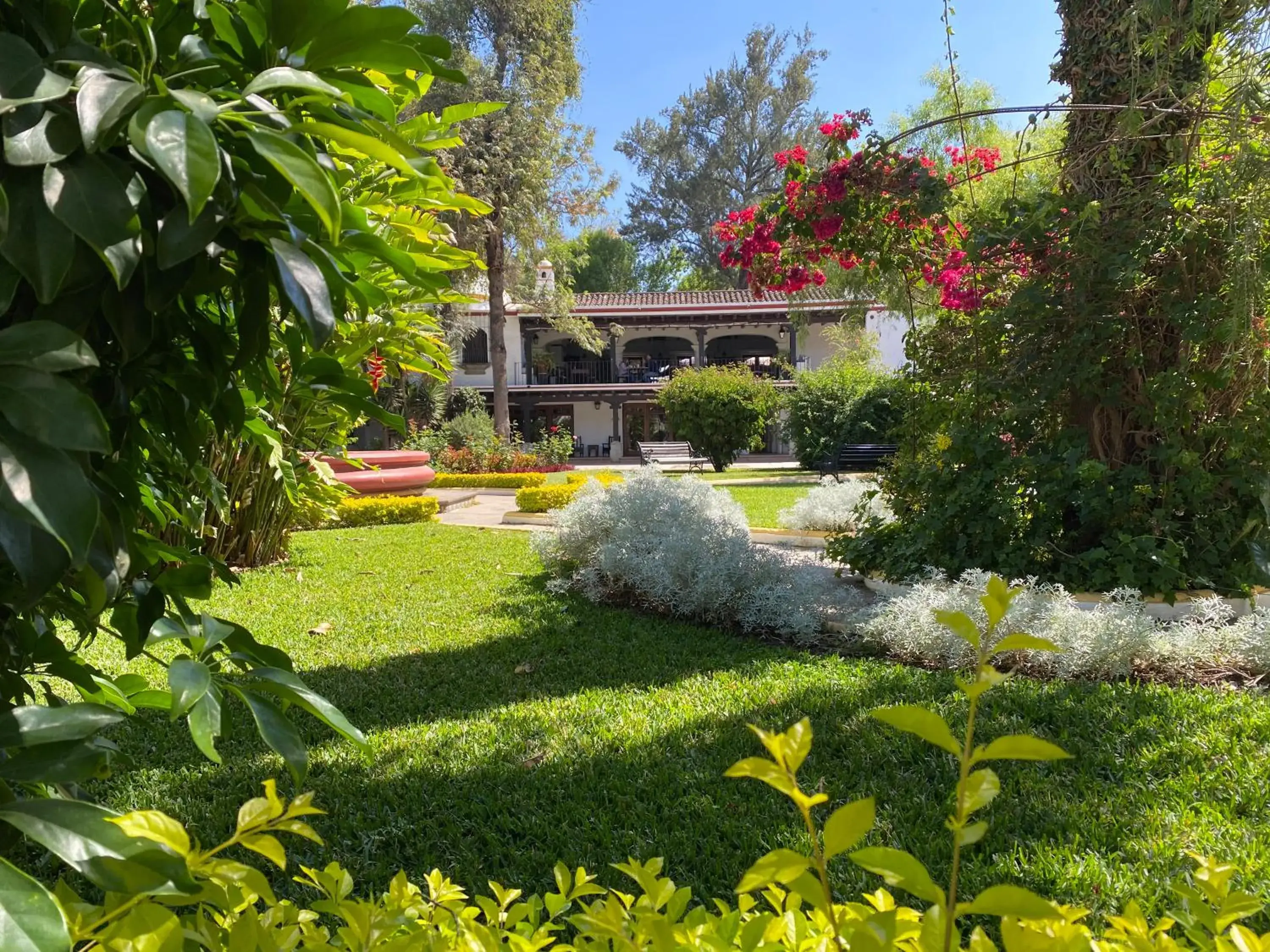 Property building, Garden in Villa Colonial