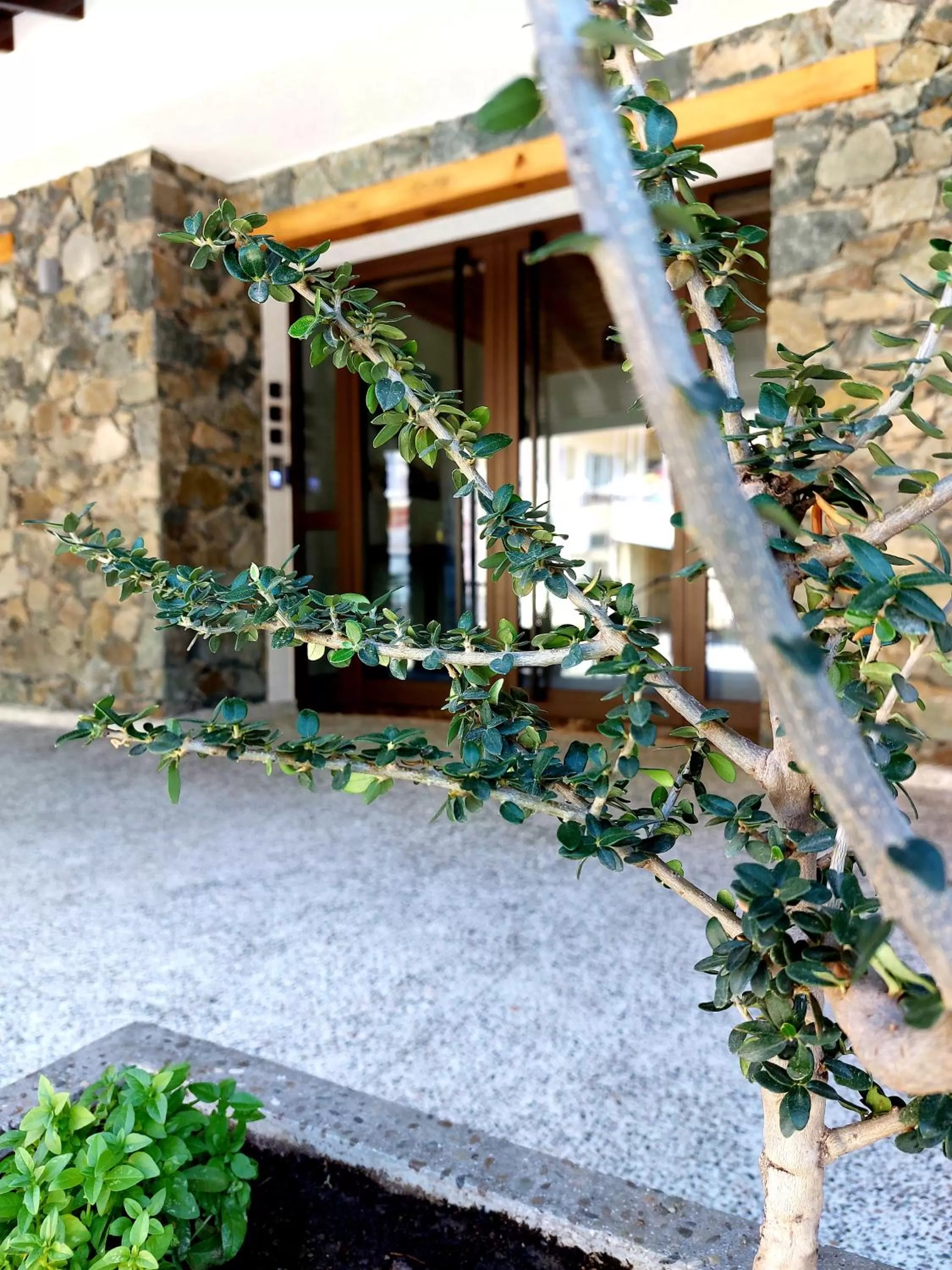 Facade/entrance in Agros Green Valley Suites