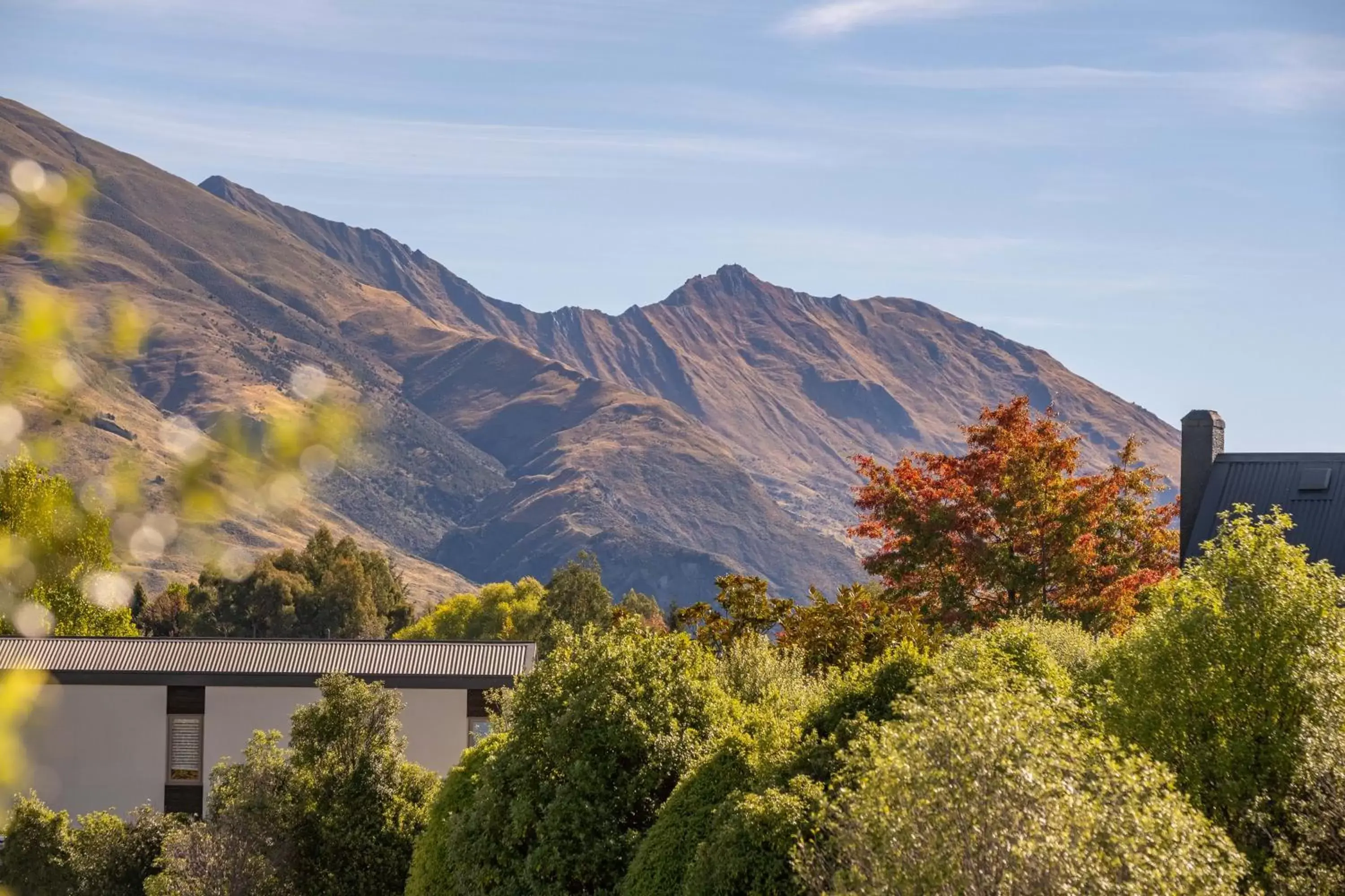 Oakridge Resort Lake Wanaka