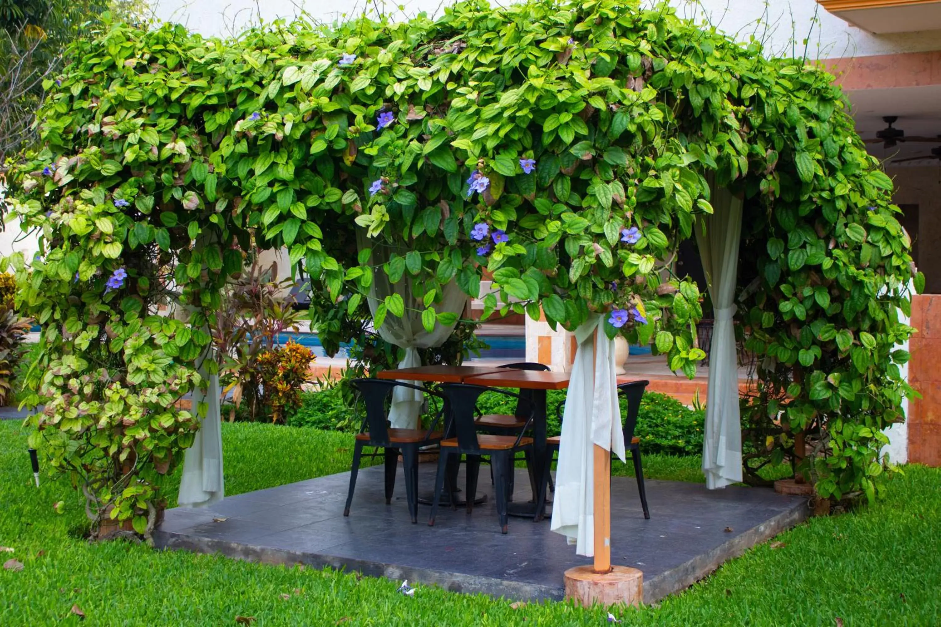 Garden in Hotel Palacio Maya