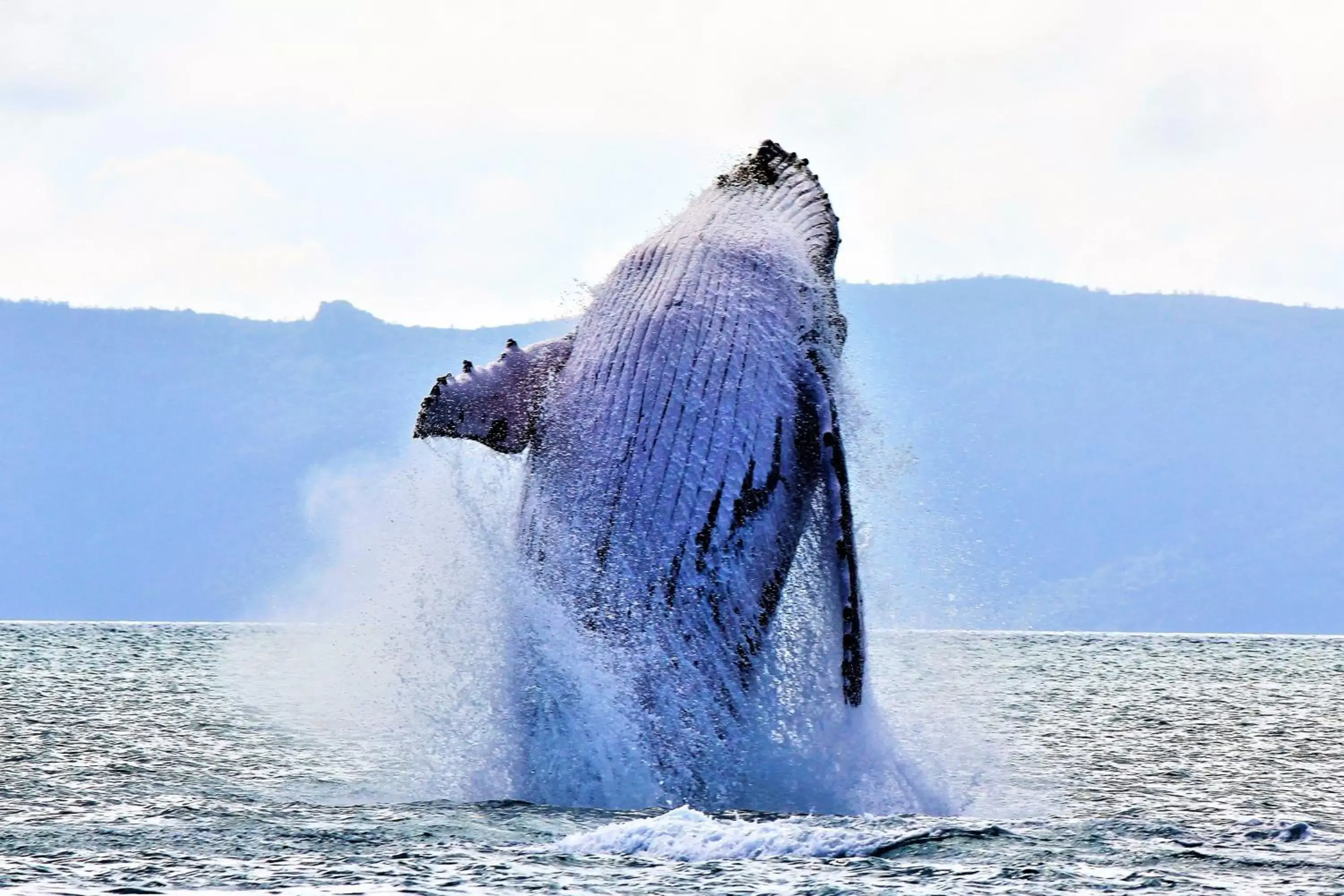 Activities in Lake Central Cairns