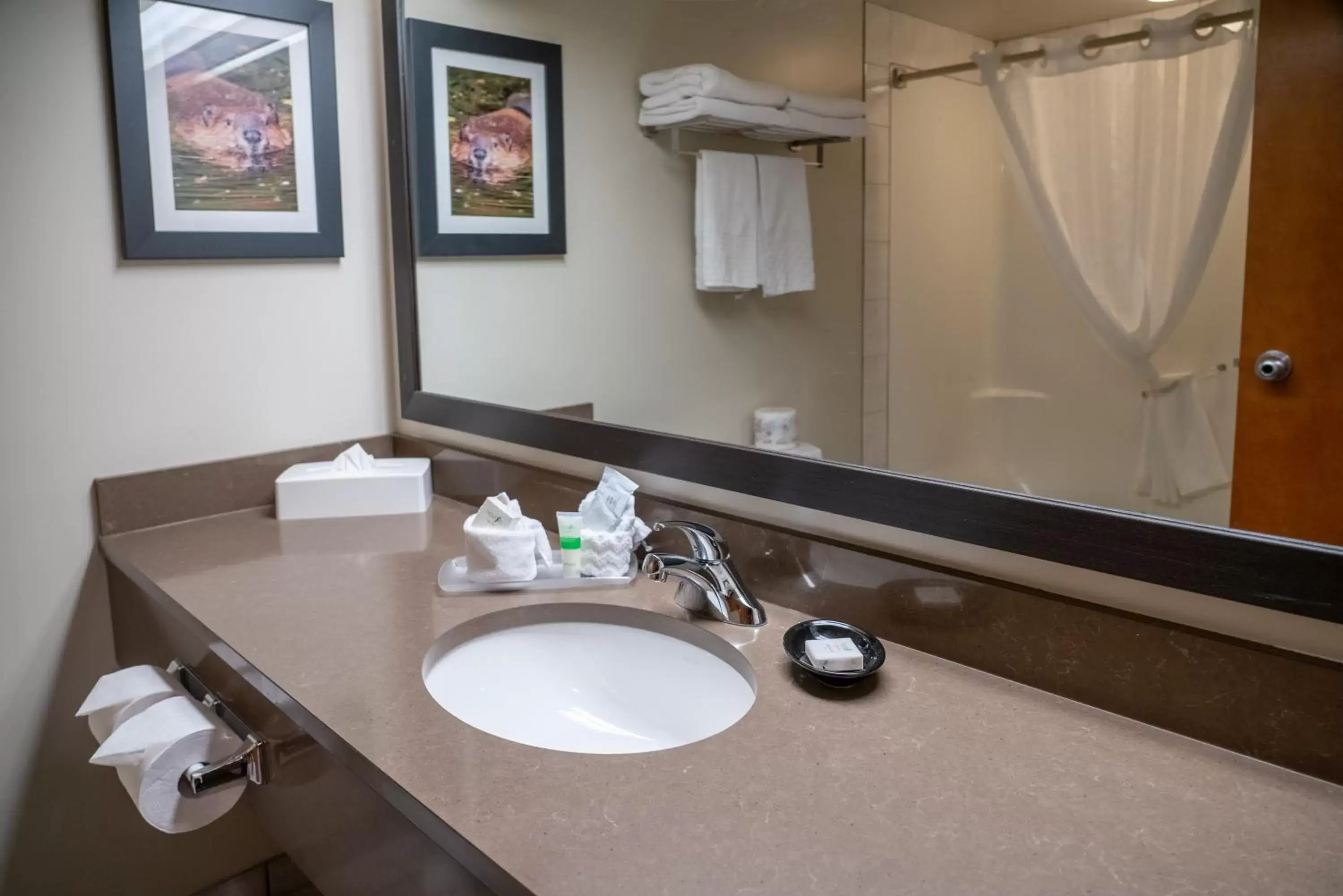 Bathroom in Pocaterra Inn & Waterslide Bathroom in Pocaterra Inn & Waterslide