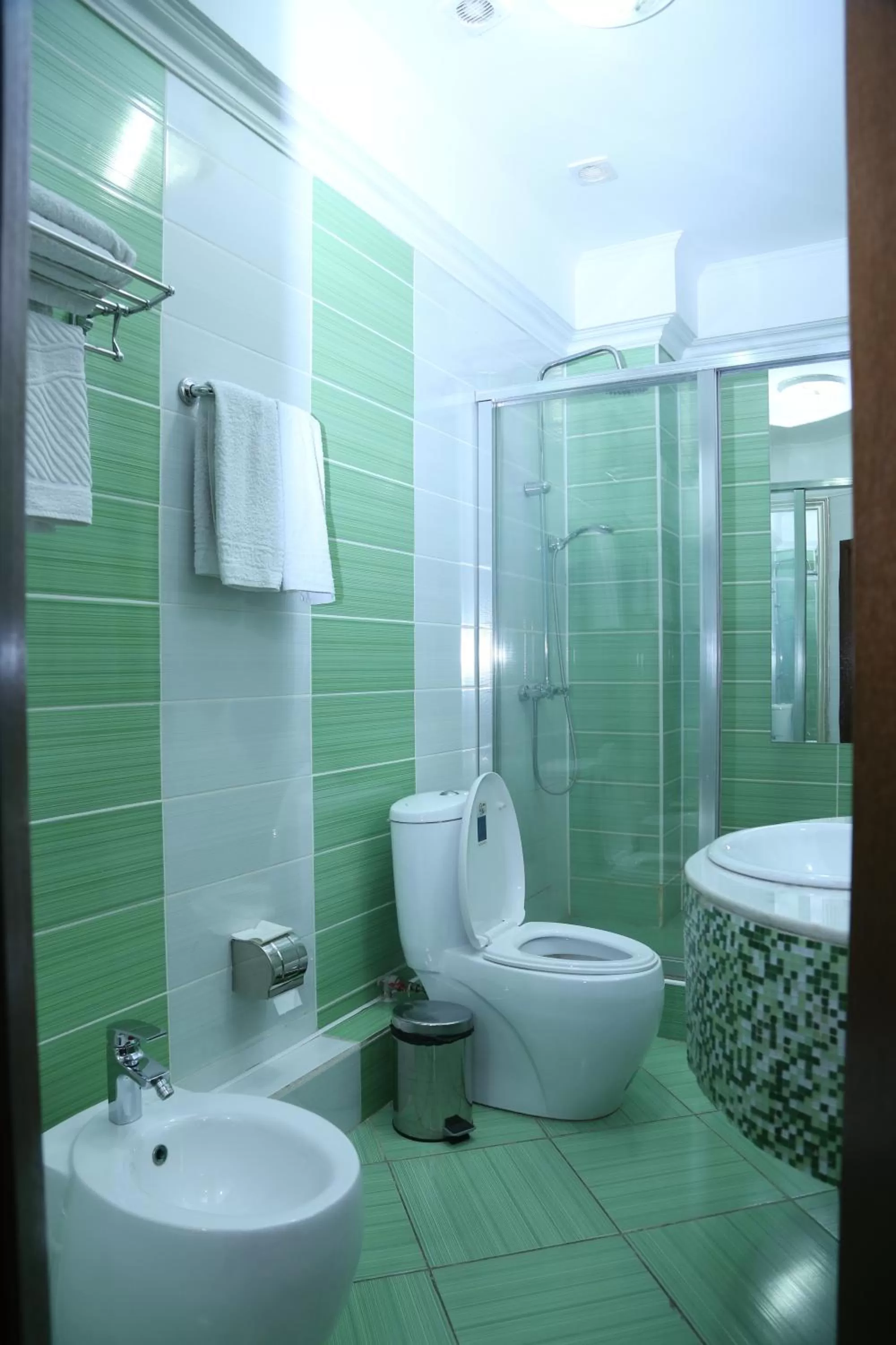 Shower, Bathroom in Sary Arka Hotel