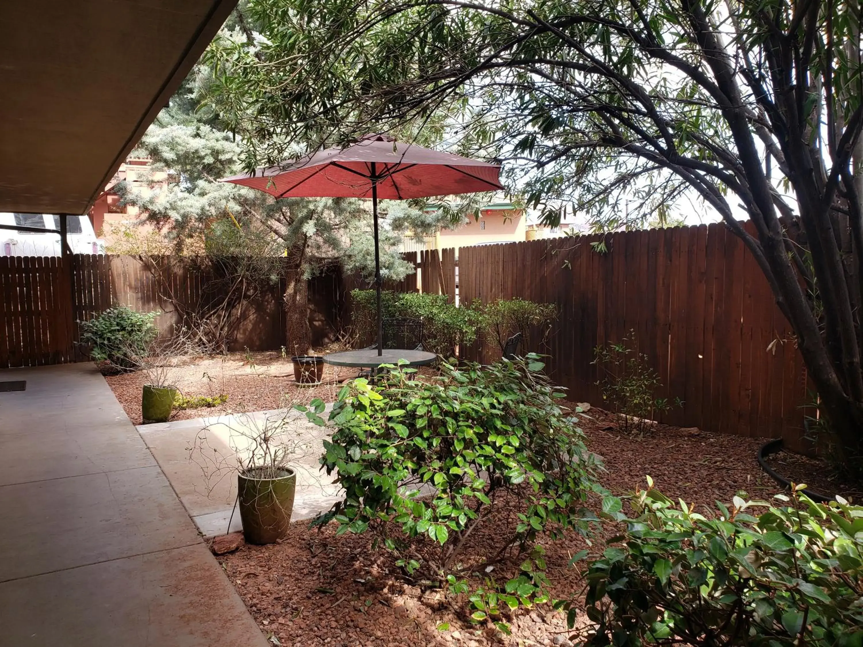 Garden view in Baby Quail Inn