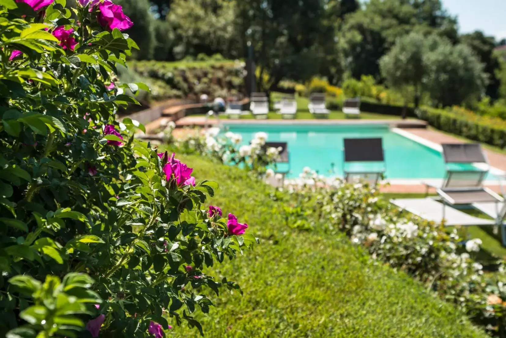 Garden, Property Building in Borgo Grondaie