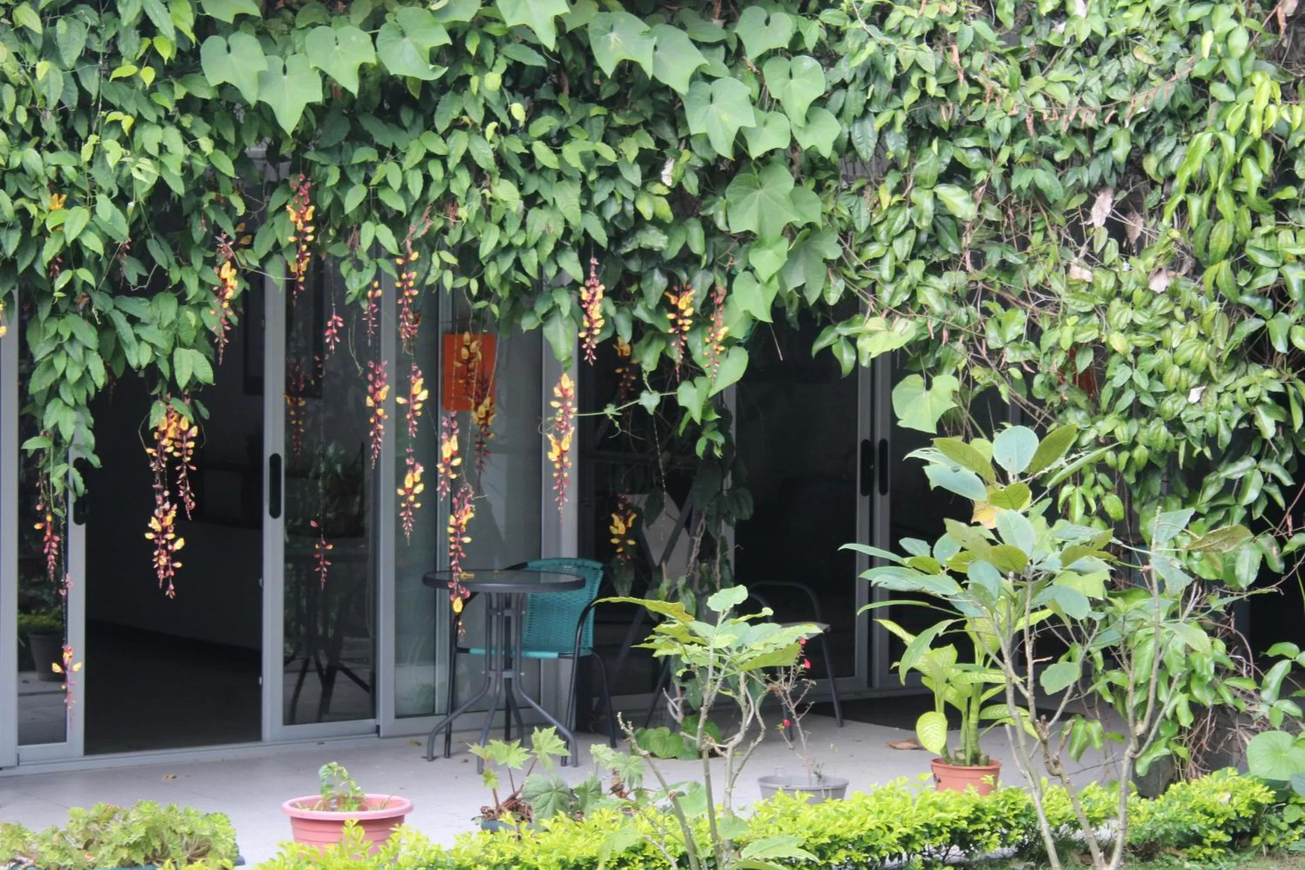 Cando Living Apartments in Central Avenue