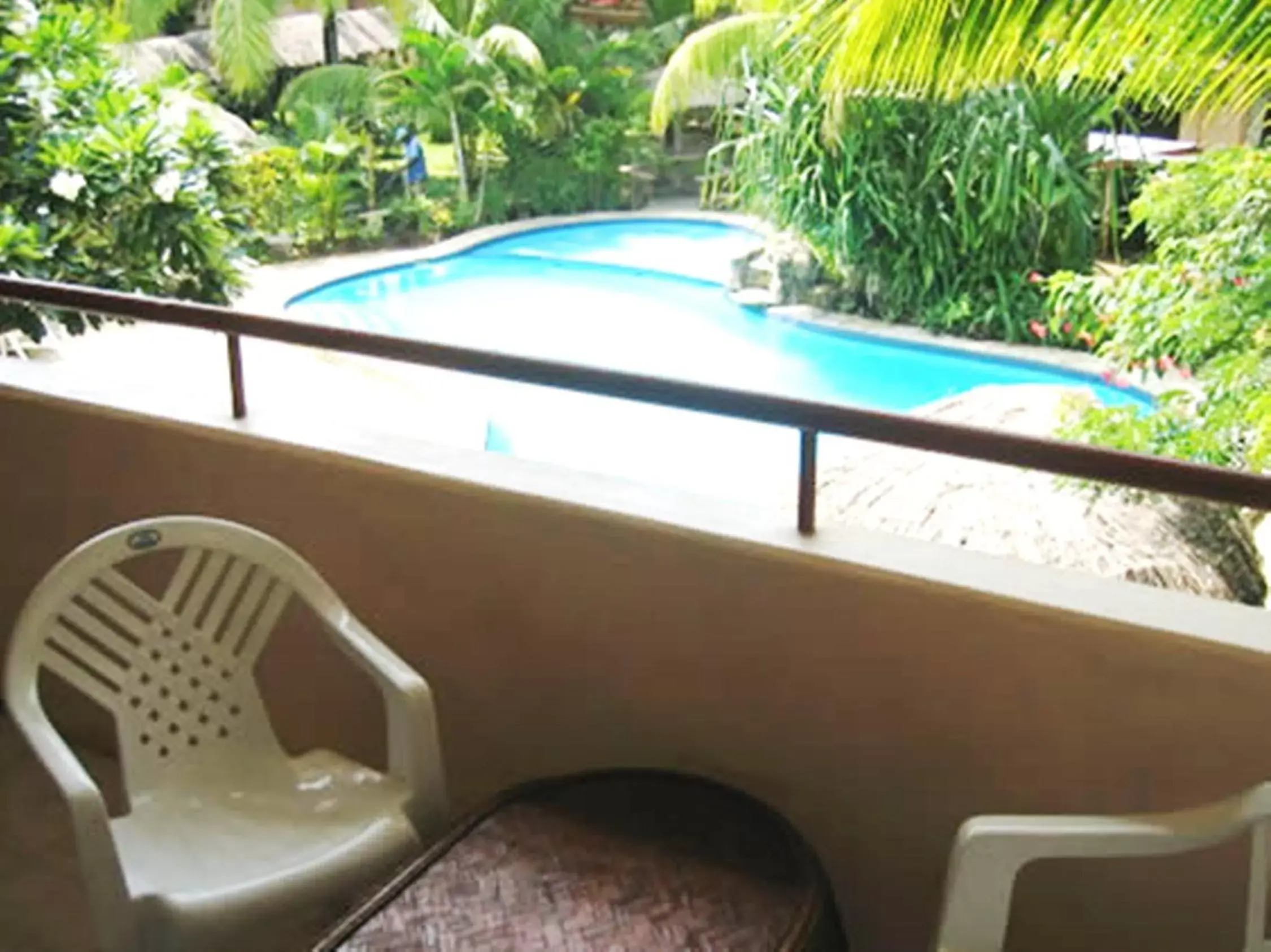 Swimming pool, Pool View in Capricorn International Hotel