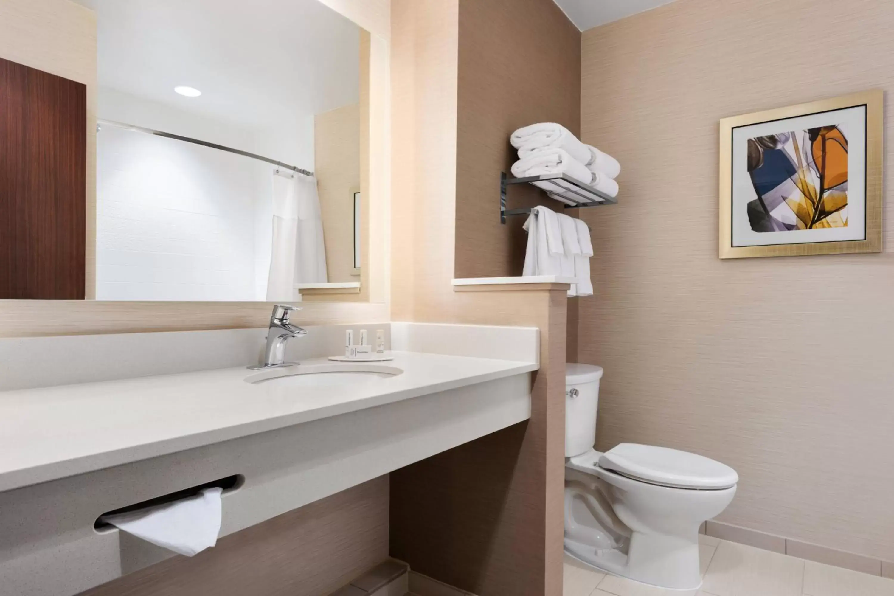 Bathroom in Fairfield Inn & Suites by Marriott Charlottesville Downtown/University Area