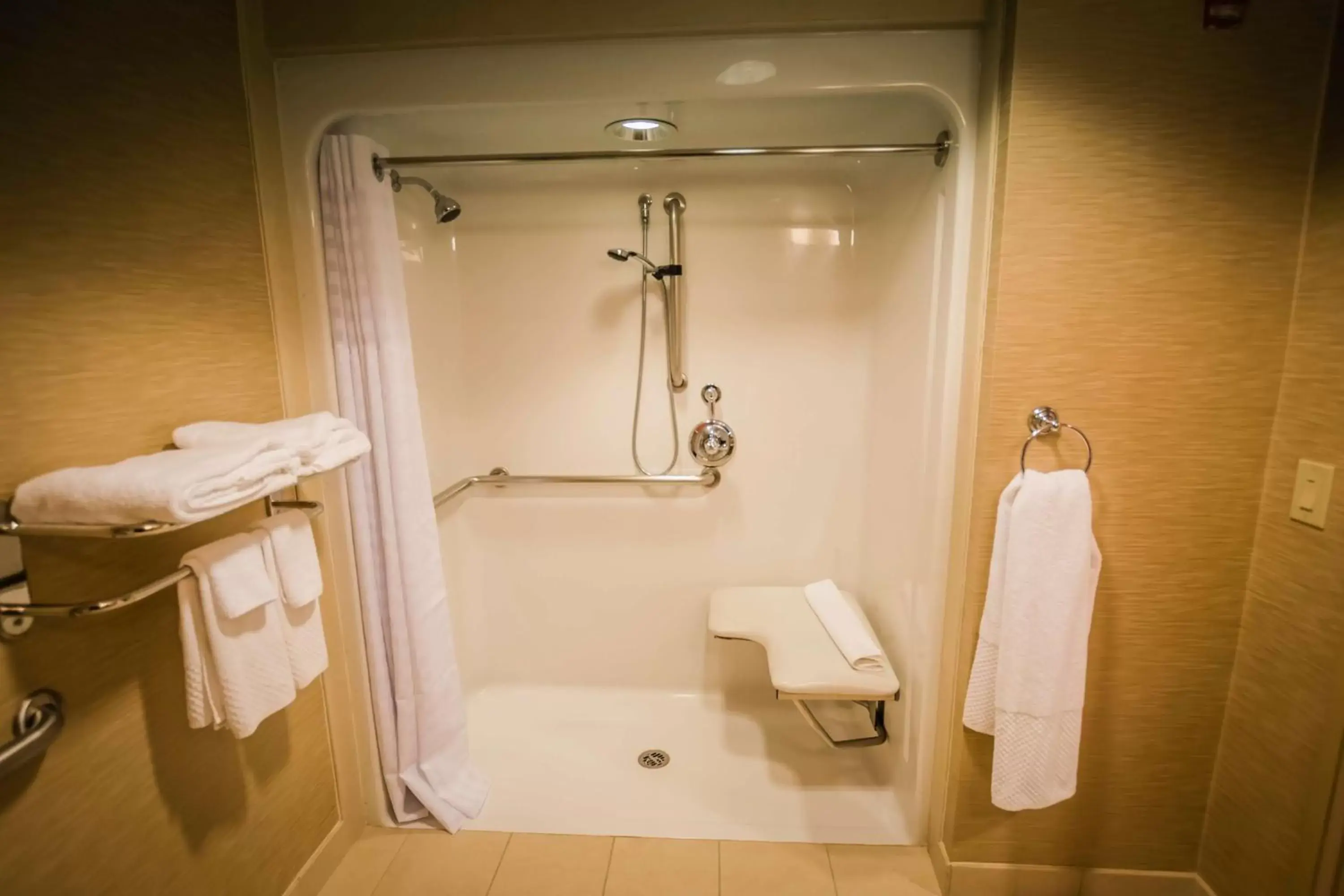 Shower, Bathroom in Hilton St. Petersburg Carillon Park
