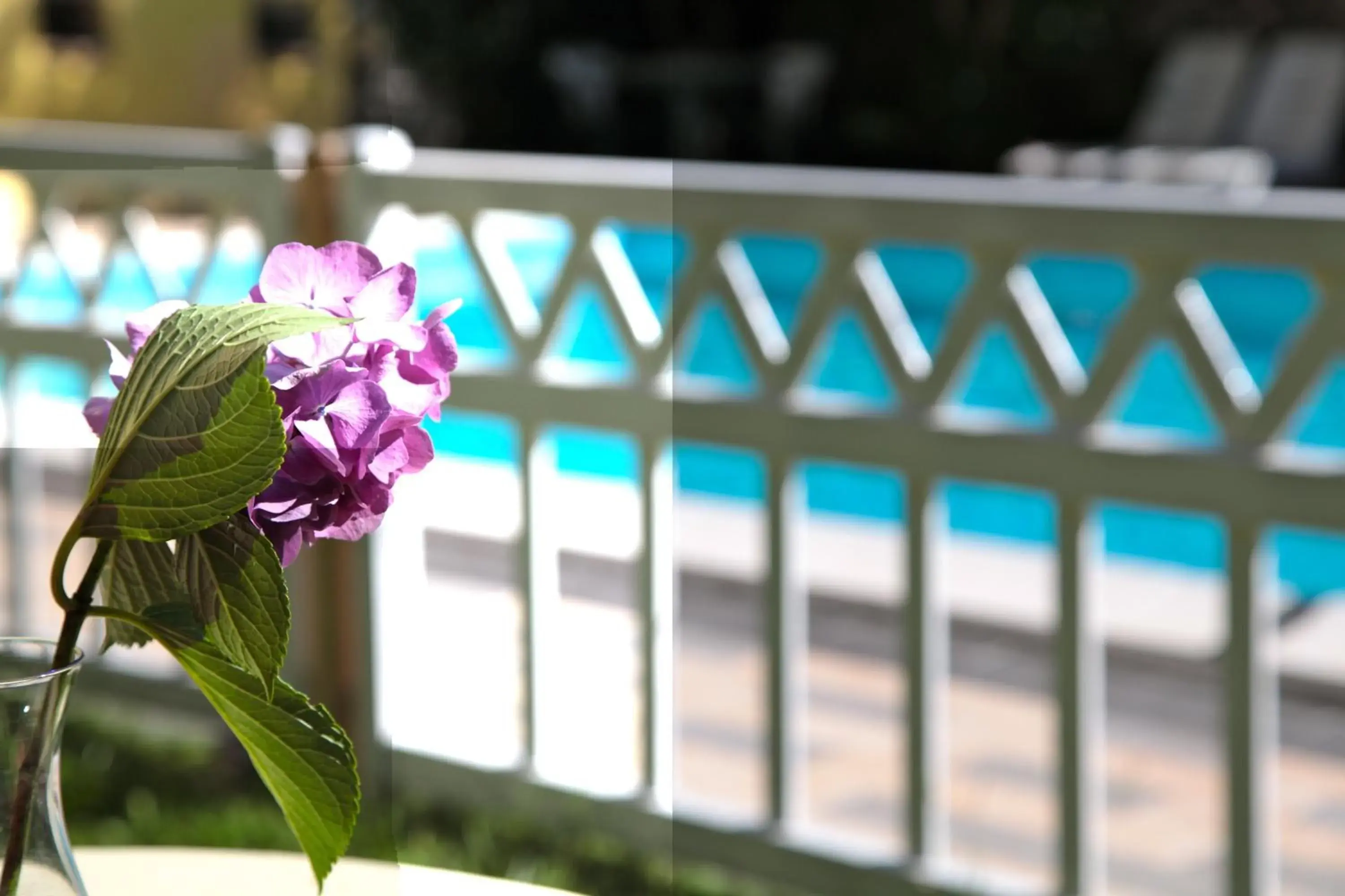 Swimming Pool in Hotel San Filis