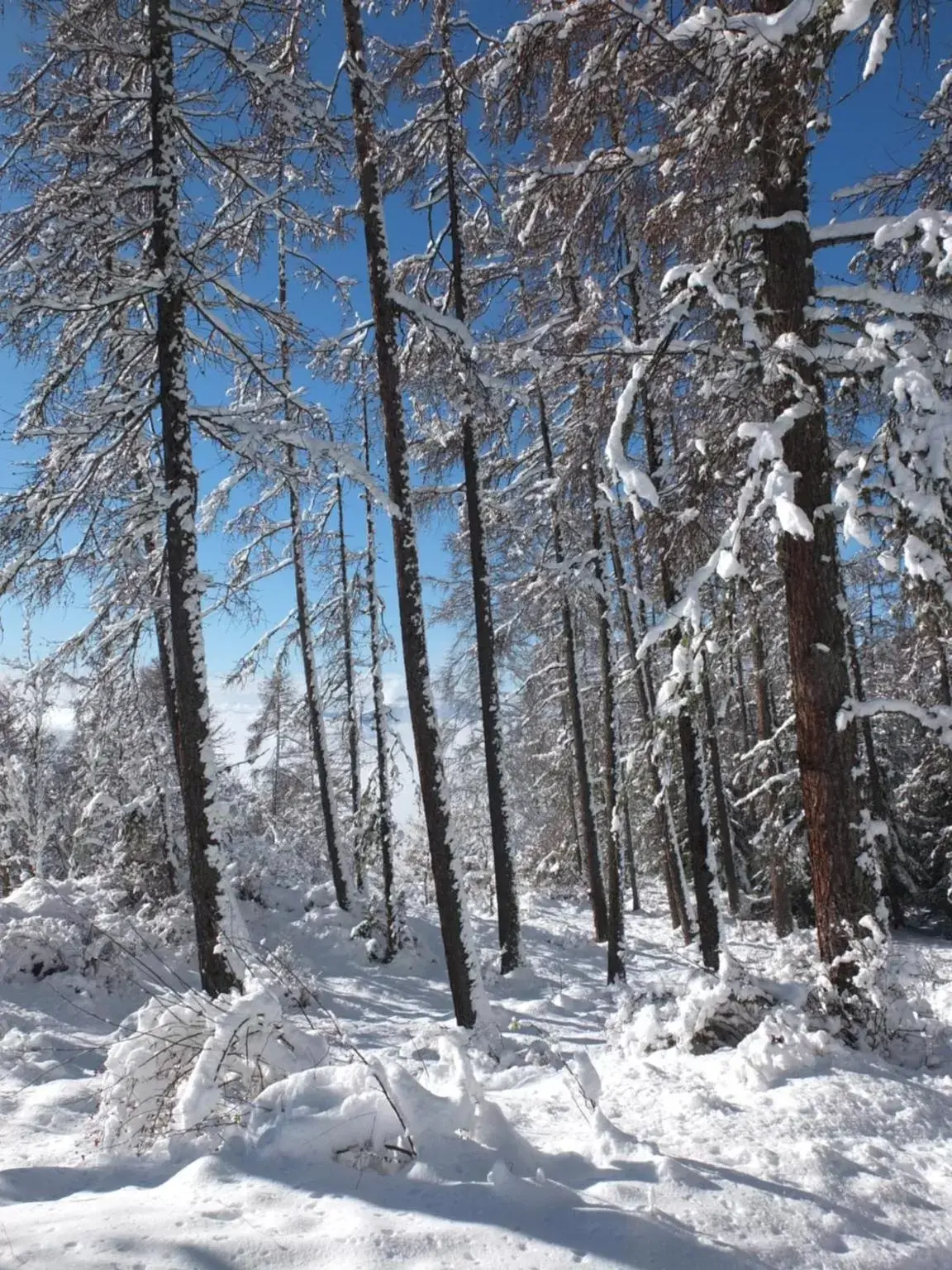 Winter in Katsoleil