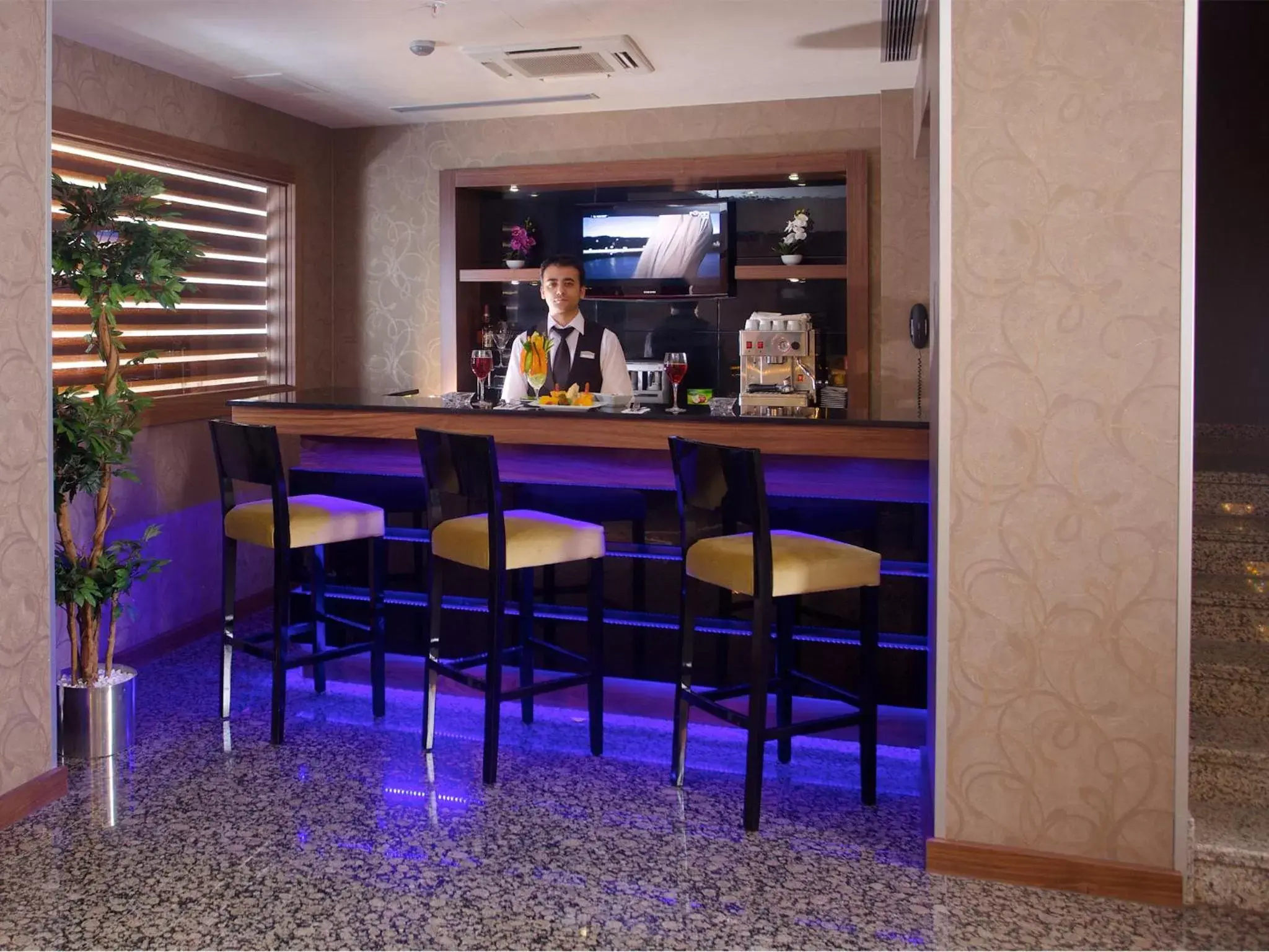 Staff, Lounge/Bar in Hotel Momento - Special Category